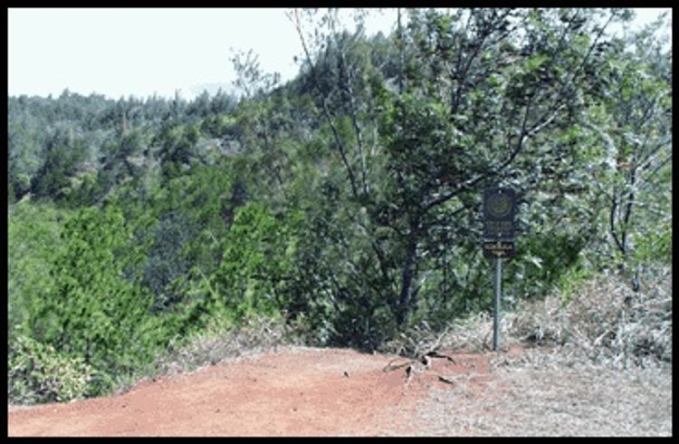 Viewpoint from Kuaokala Trail