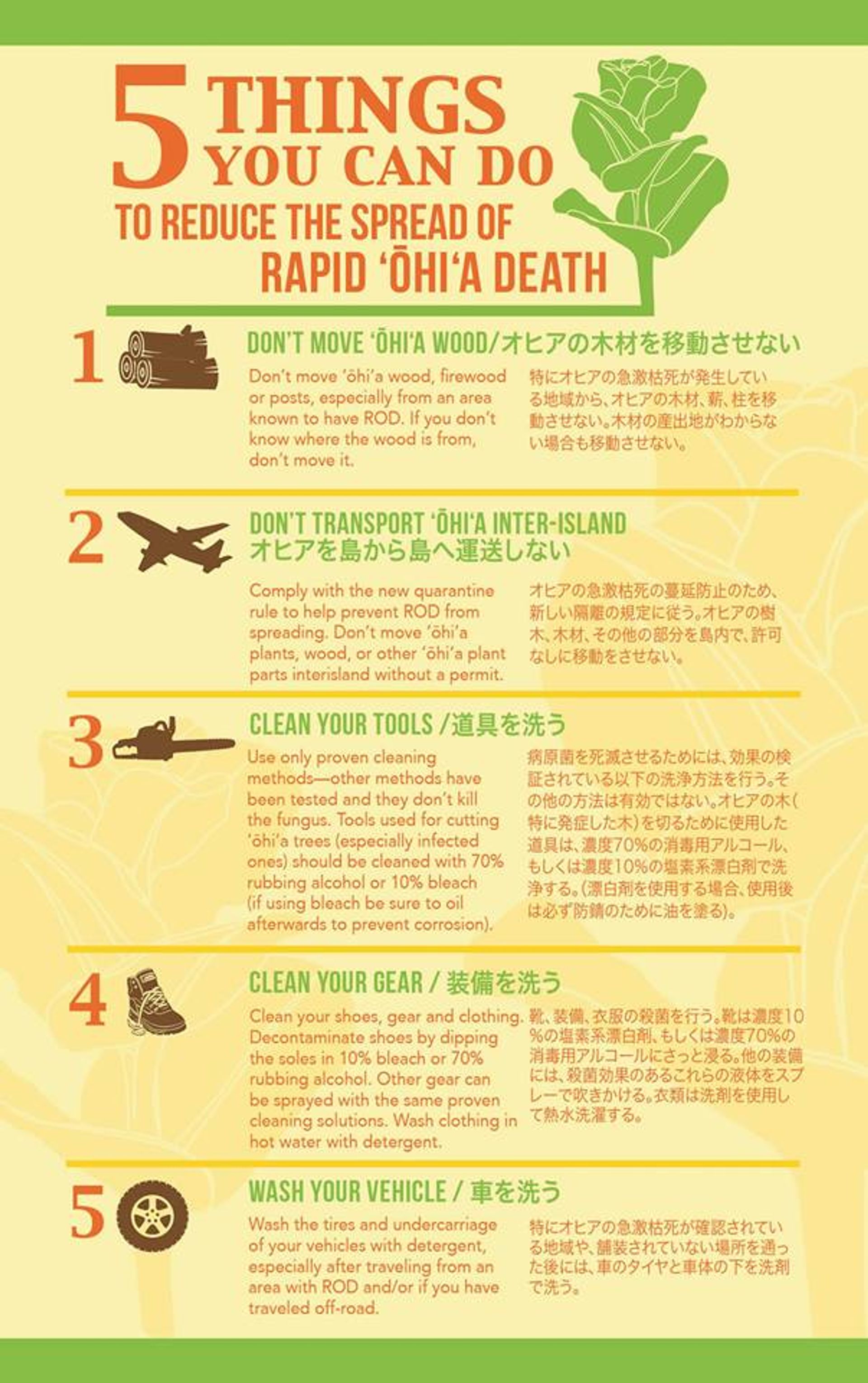 Five things you can do to stop Rapid 'Ohi'a Death