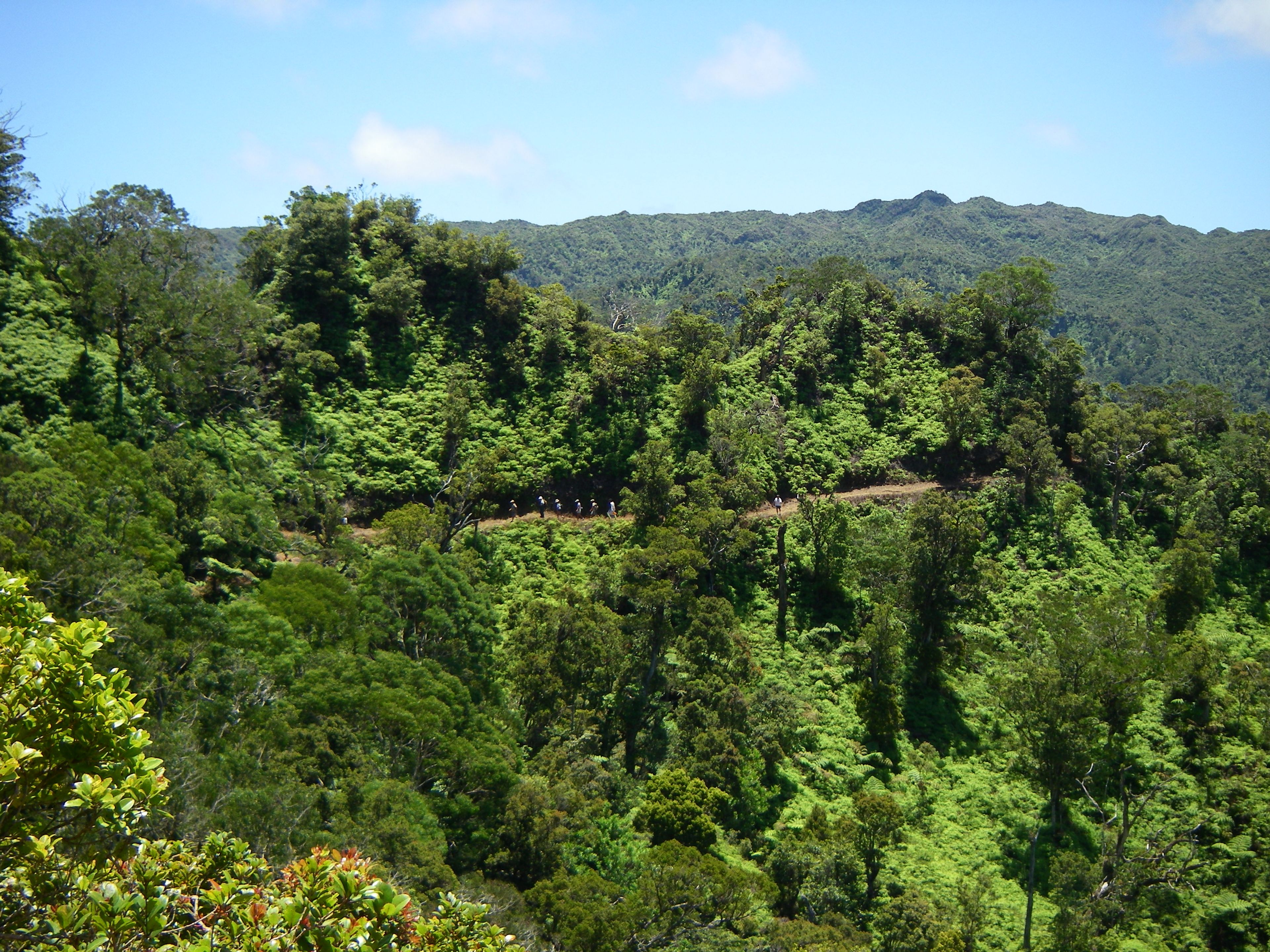 Poamoho Trail from a distance