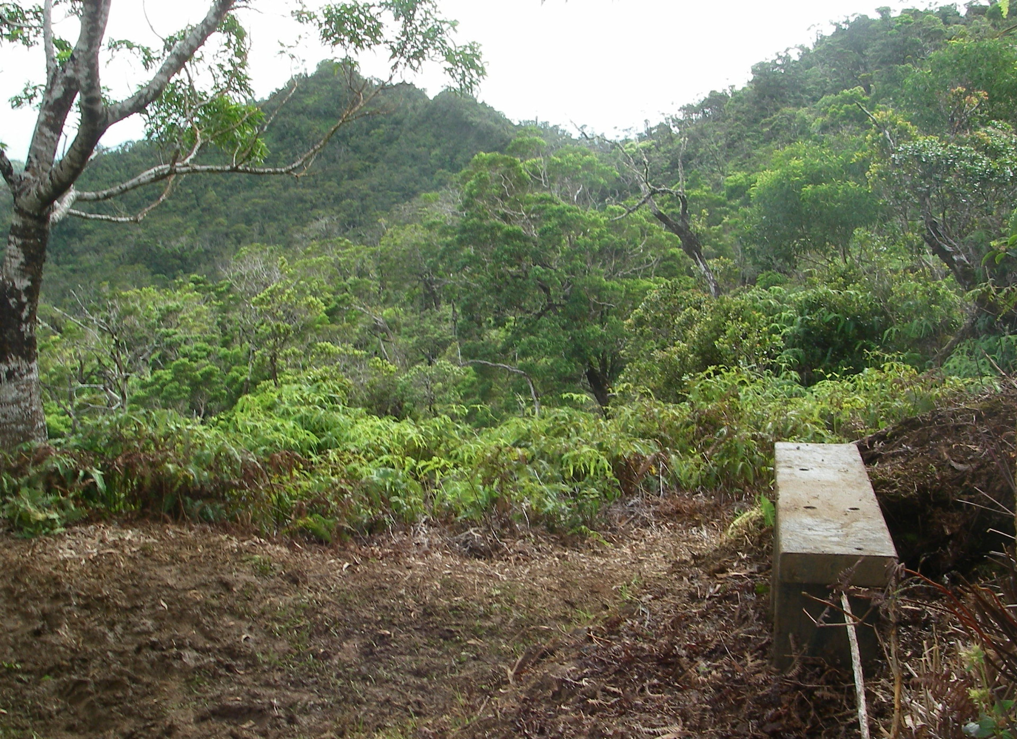 Poamoho Bench 2