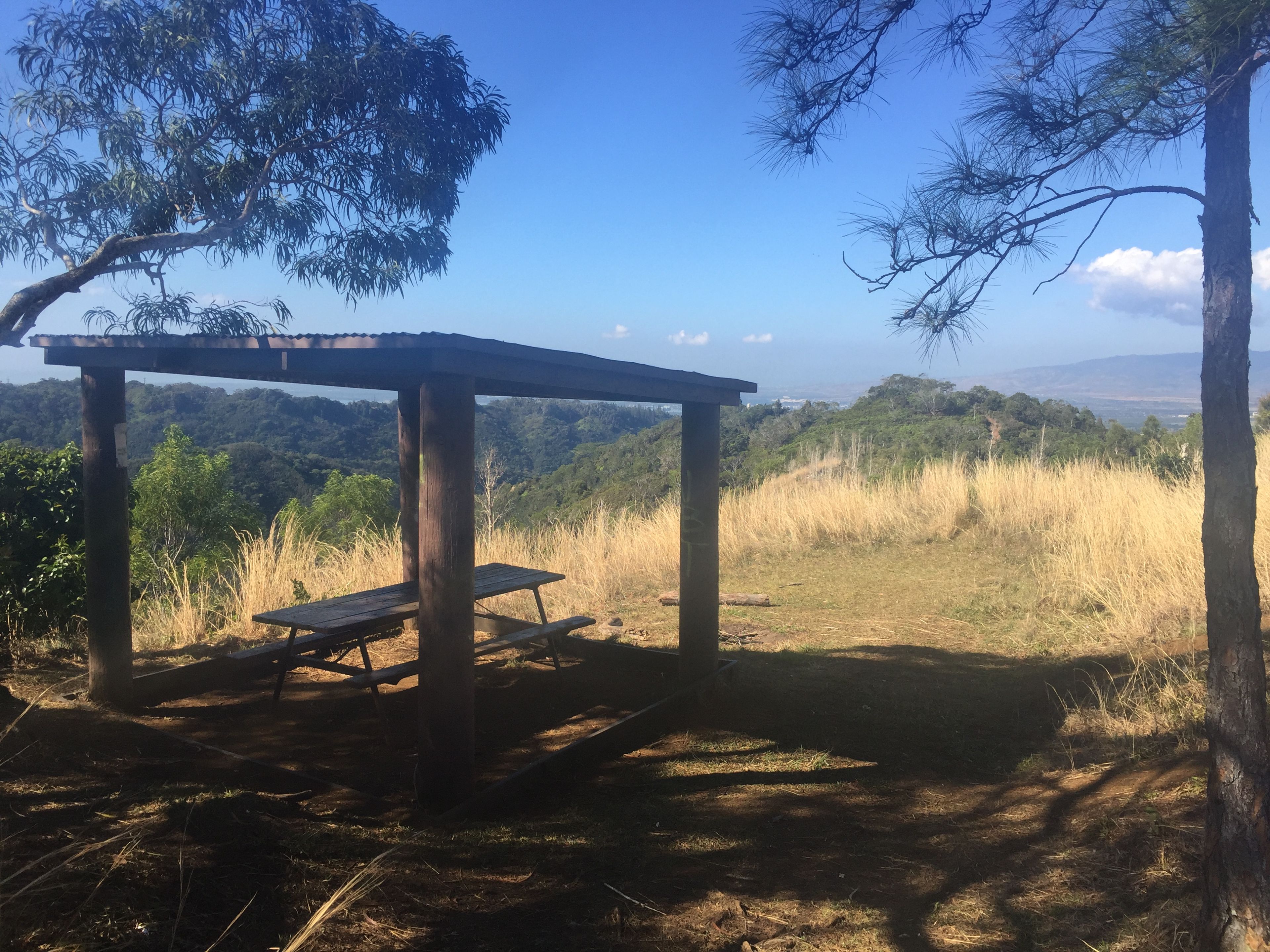 Manana Trail - Trail Shelter 2