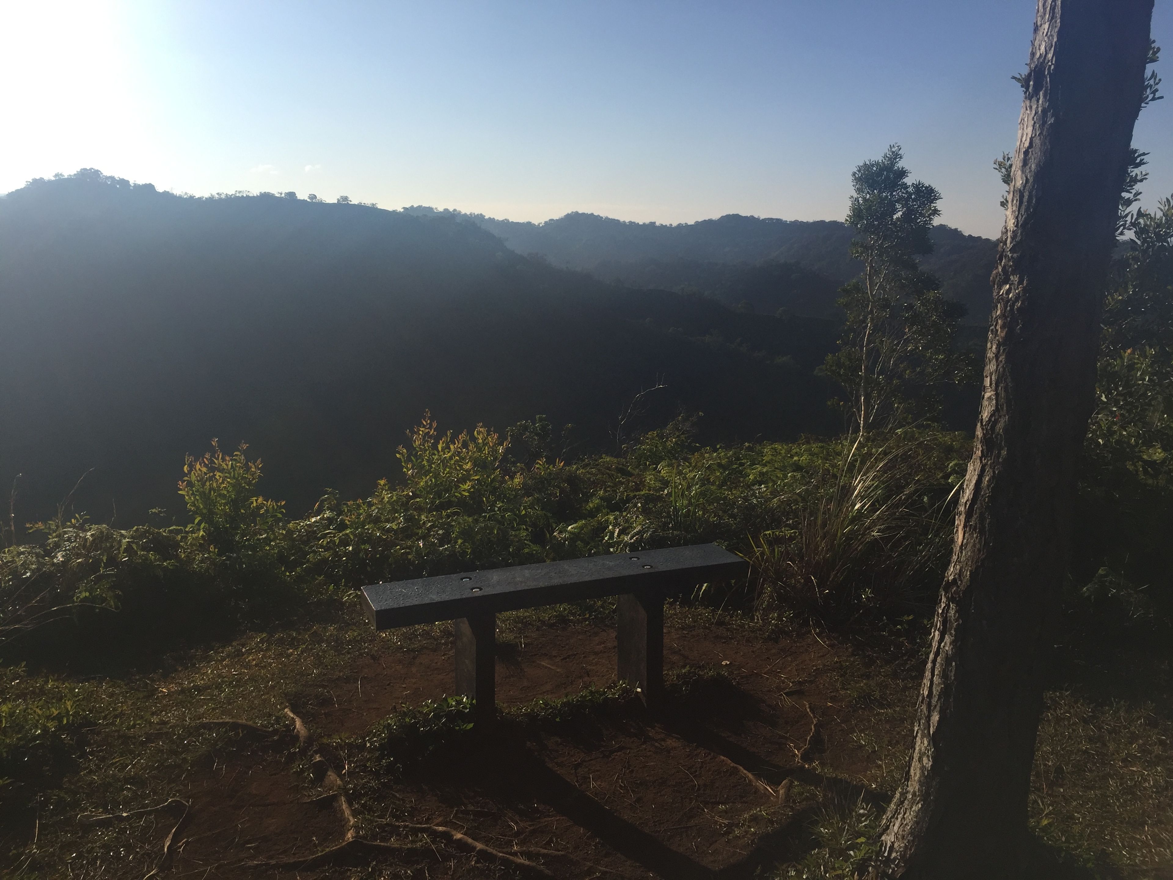 Manana Trail - Bench