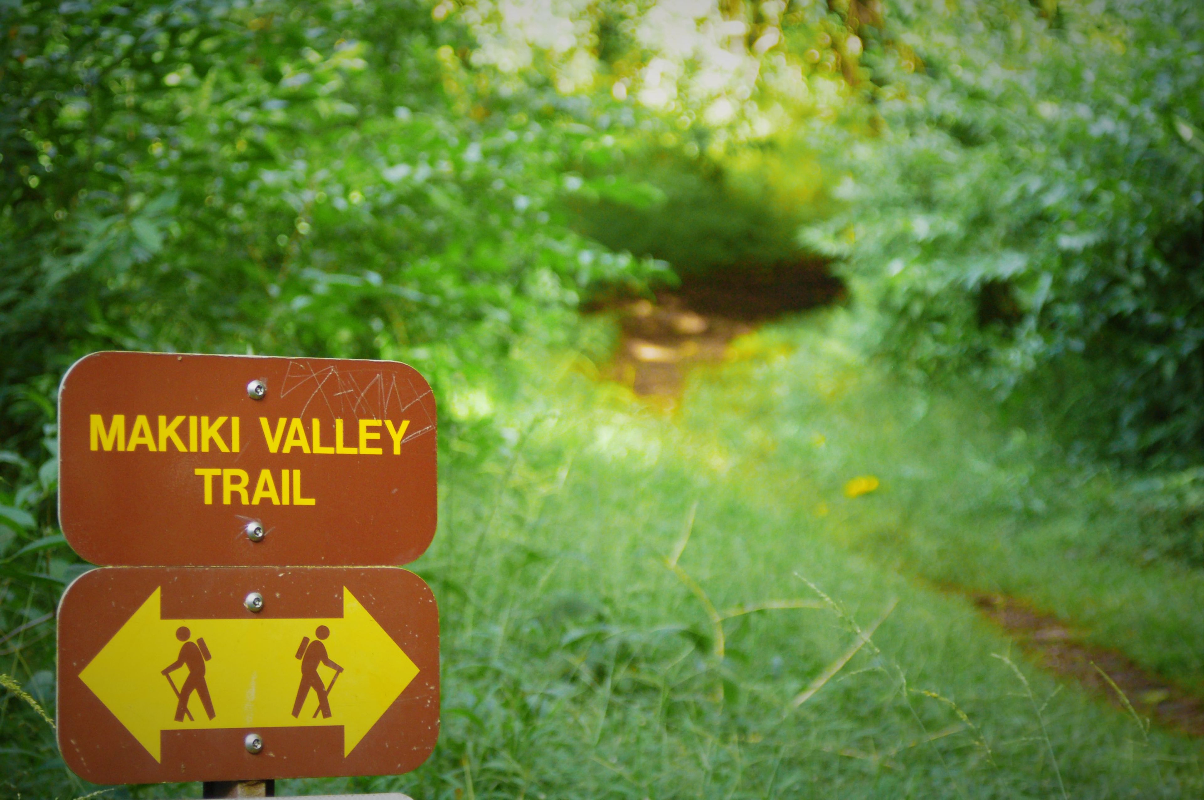 Makiki Valley Junction