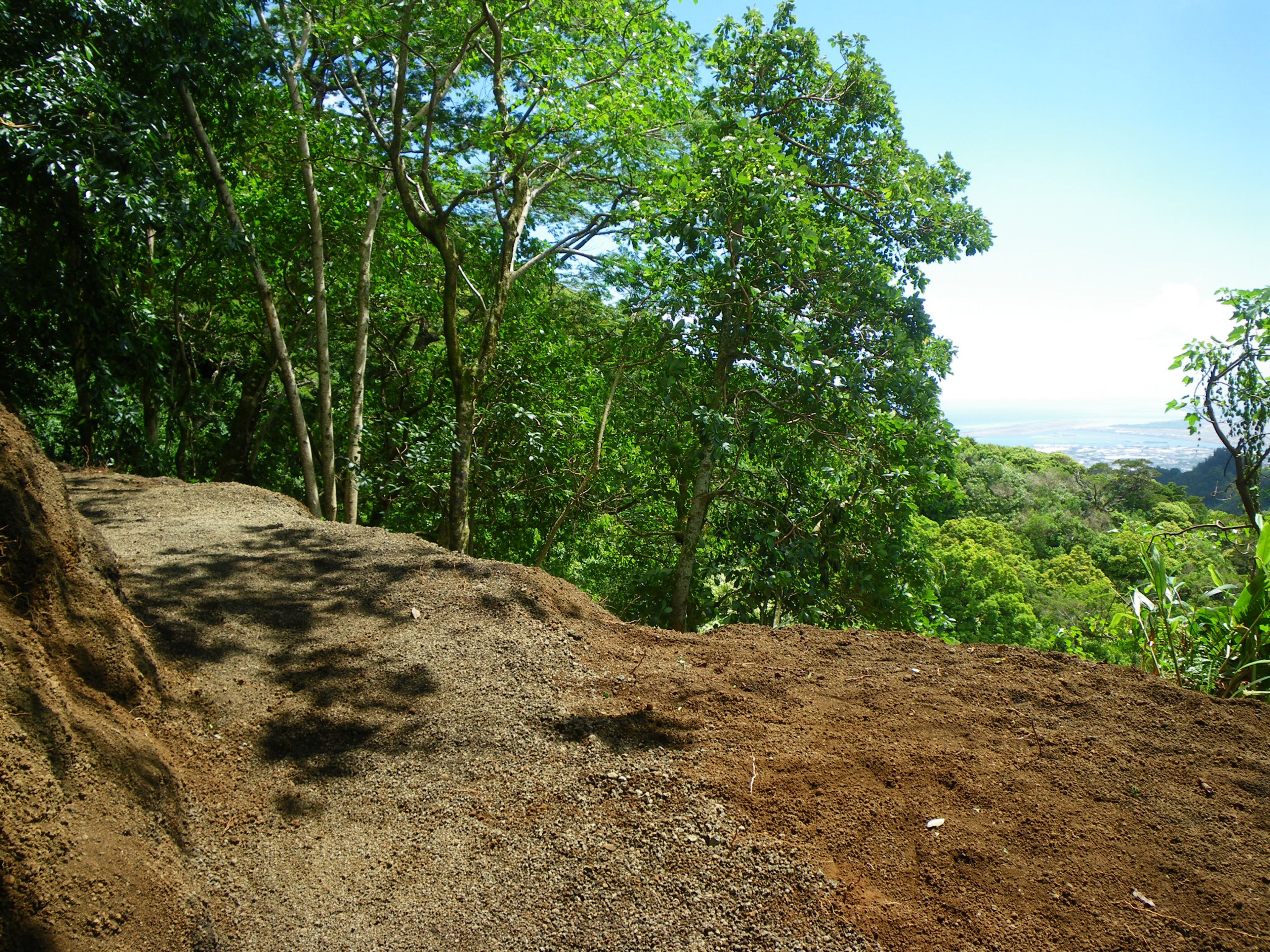 Kalawahine Trail - View 2