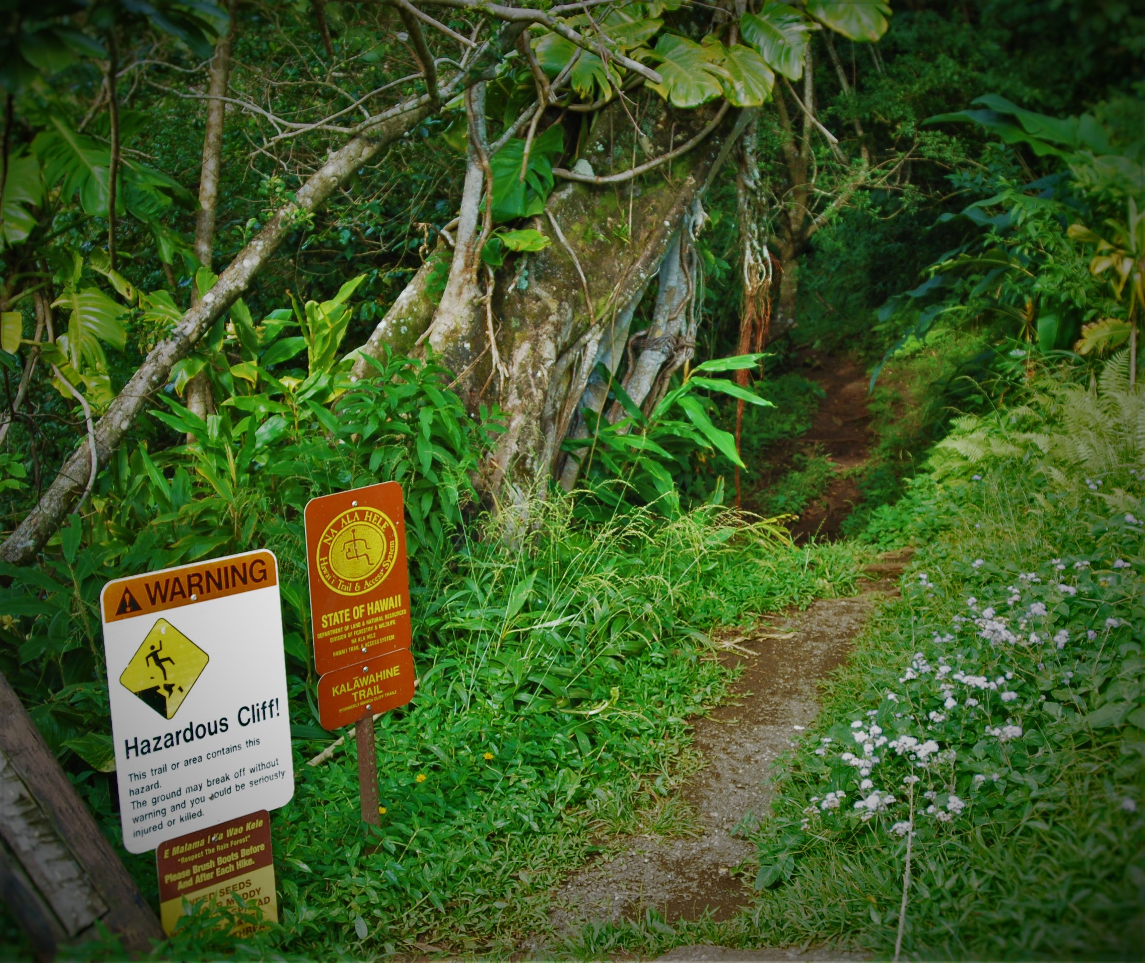 Kalawahine Trailhead