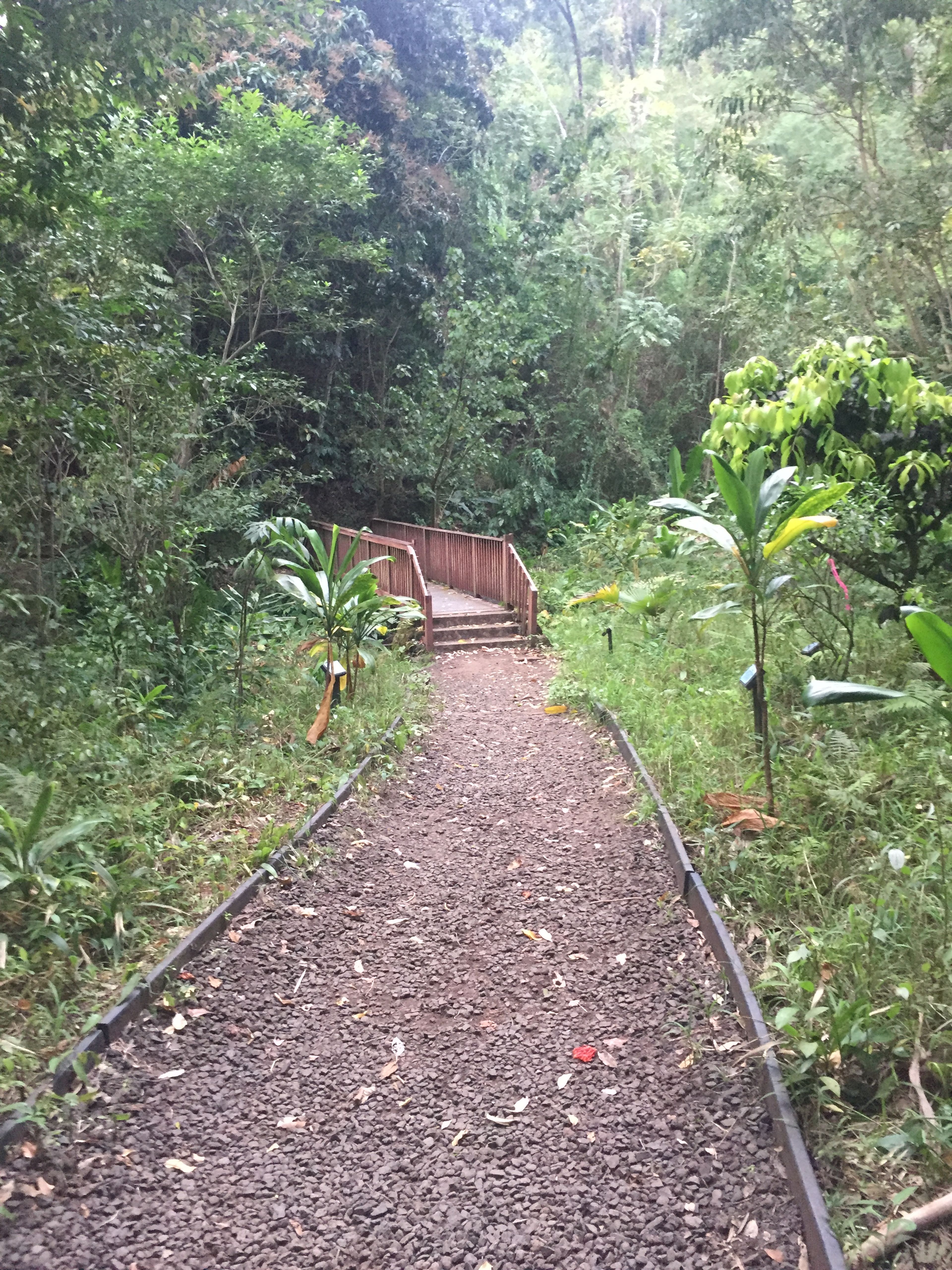 Kanealole Trail - First bridge in Makiki WAI