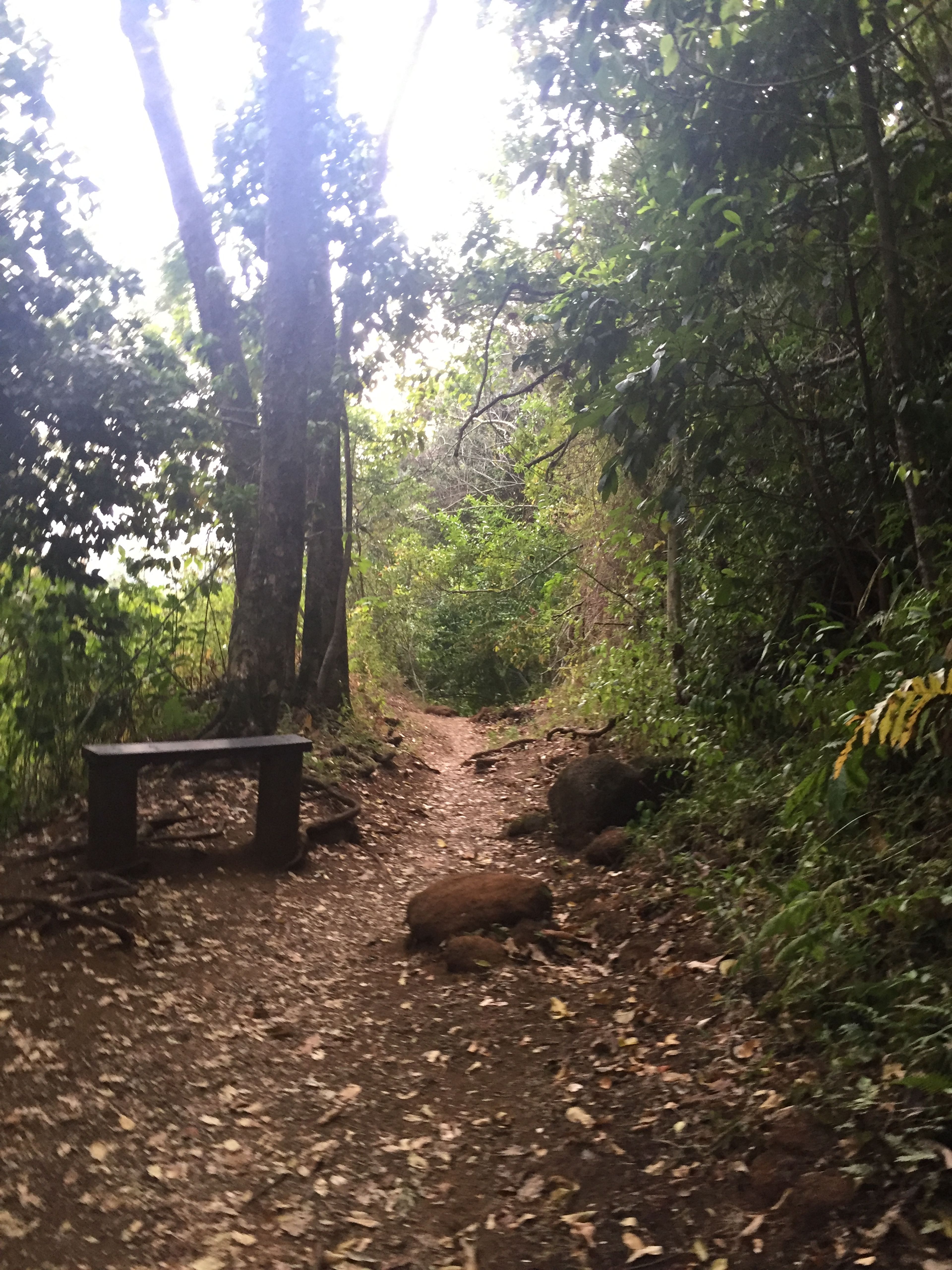 Kanealole Trail - Upper bench site