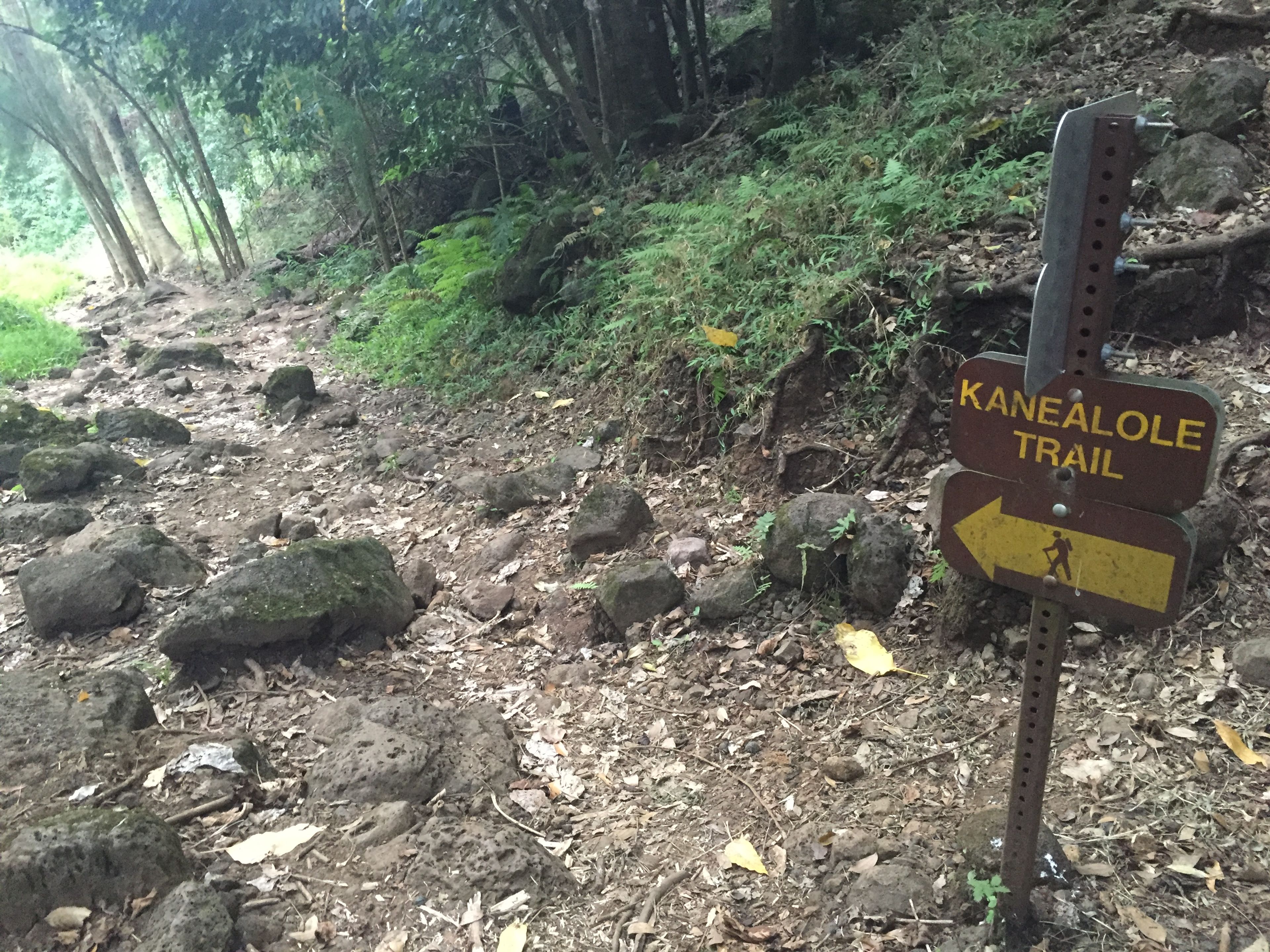 Kanealole Trail - Makiki Valley junction sign