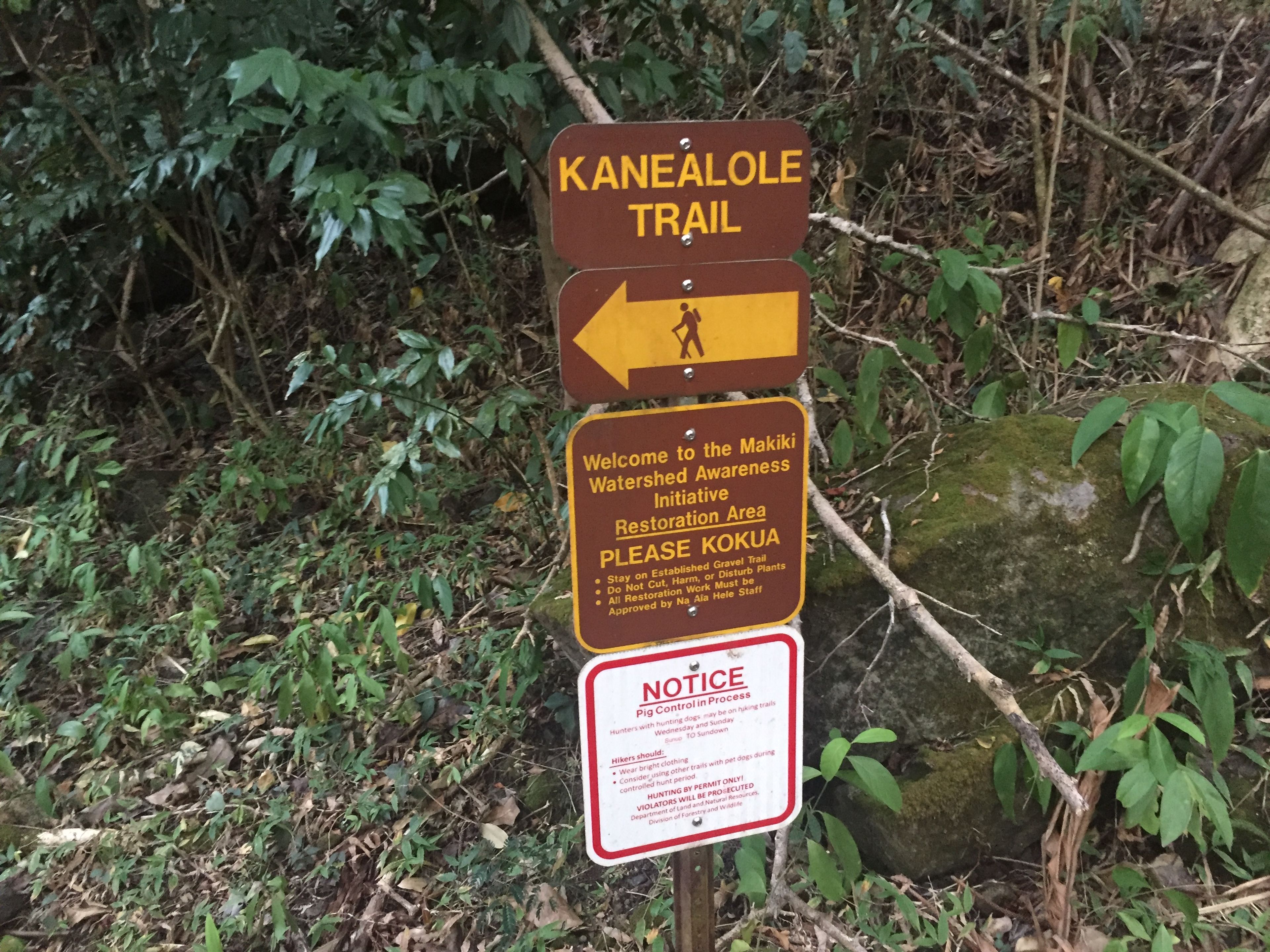 Kanealole Trail - Trail head in lower Makiki Valley