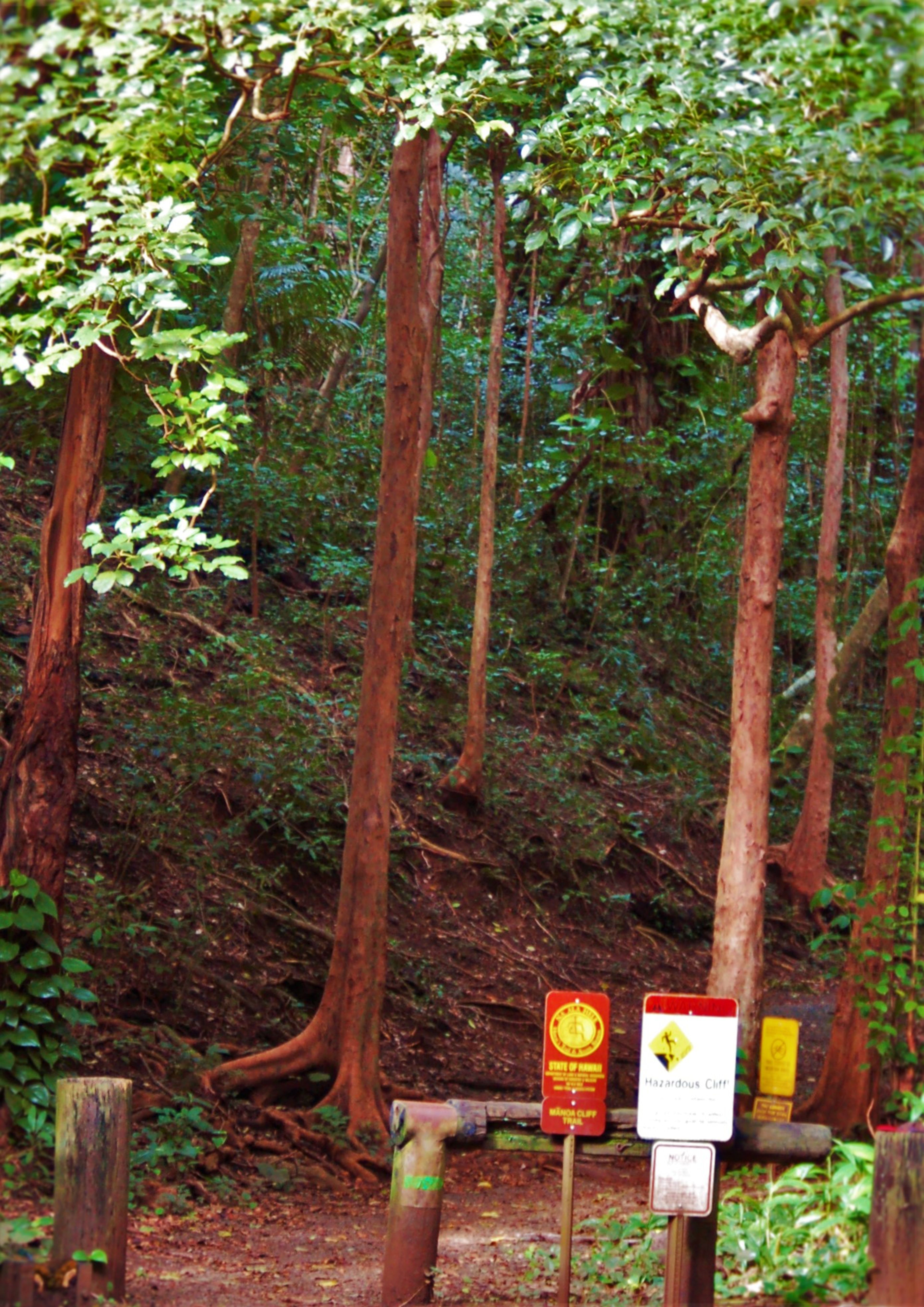 Signs are posted at the trailhead