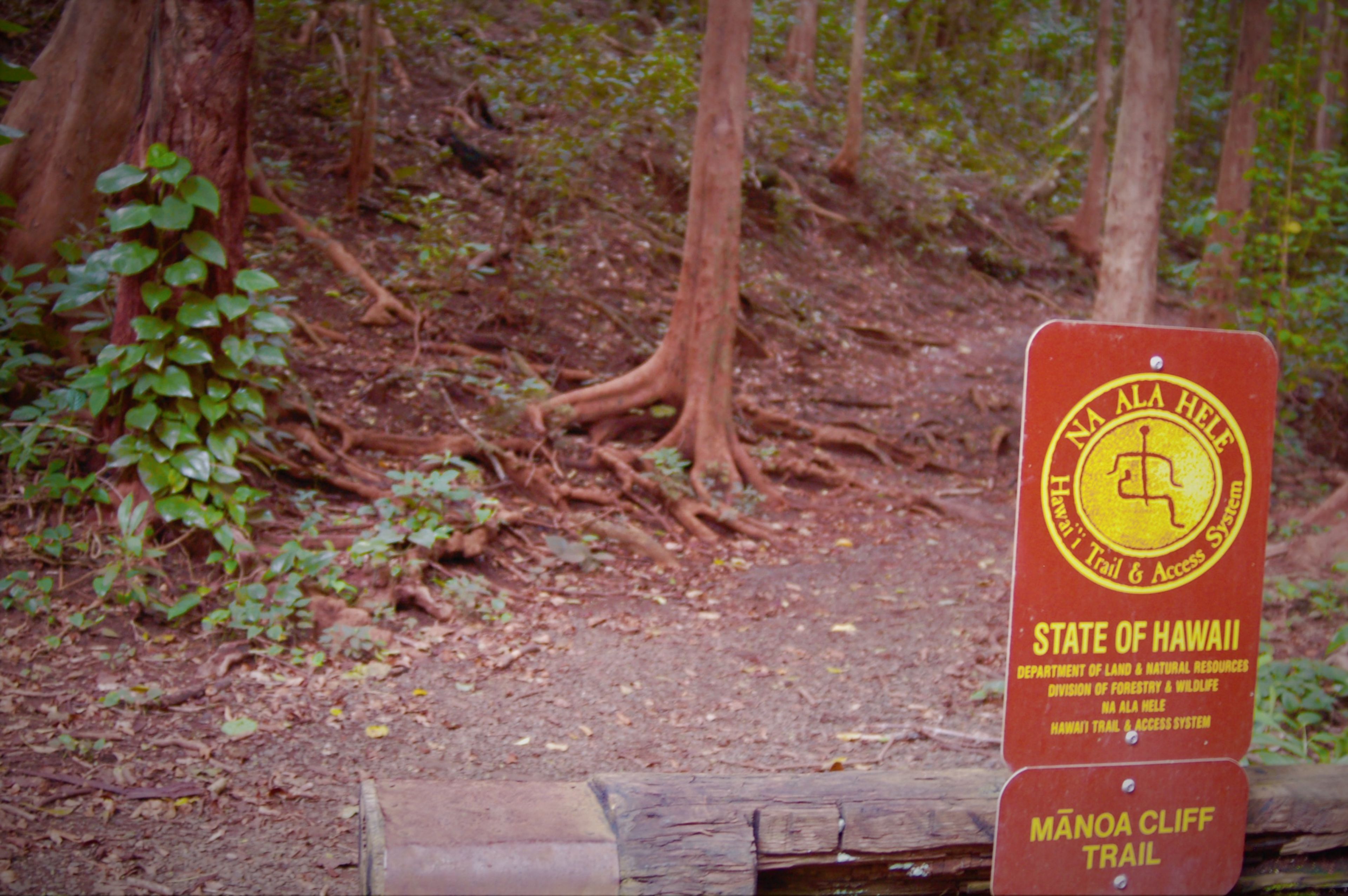 Closeup of trailhead signs