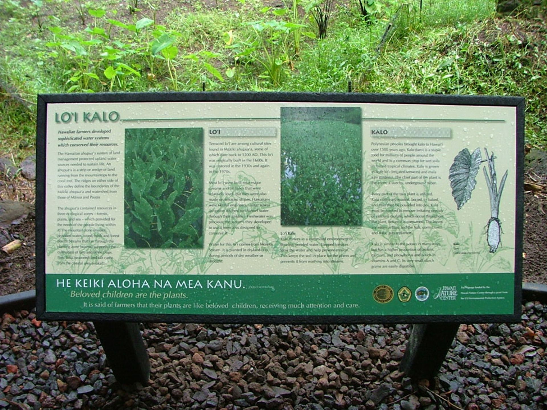 Maunalaha Trail - Loi sign close up