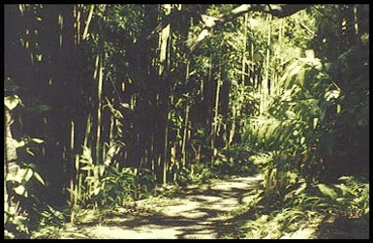 Viewpoint from Moleka Trail