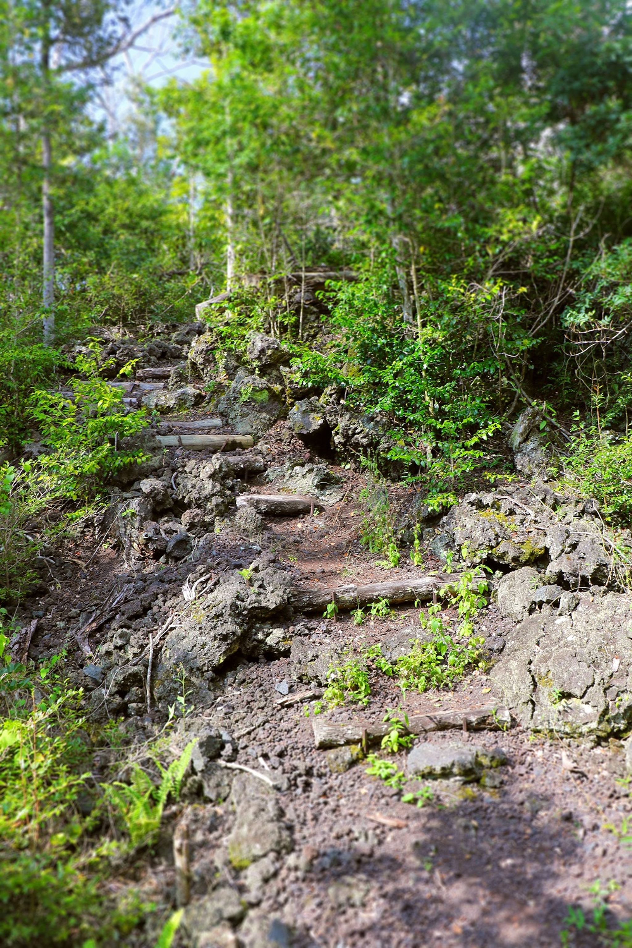 The Manukā Nature Loop Trail showcases ancient Hawaiian agricultural ruins.