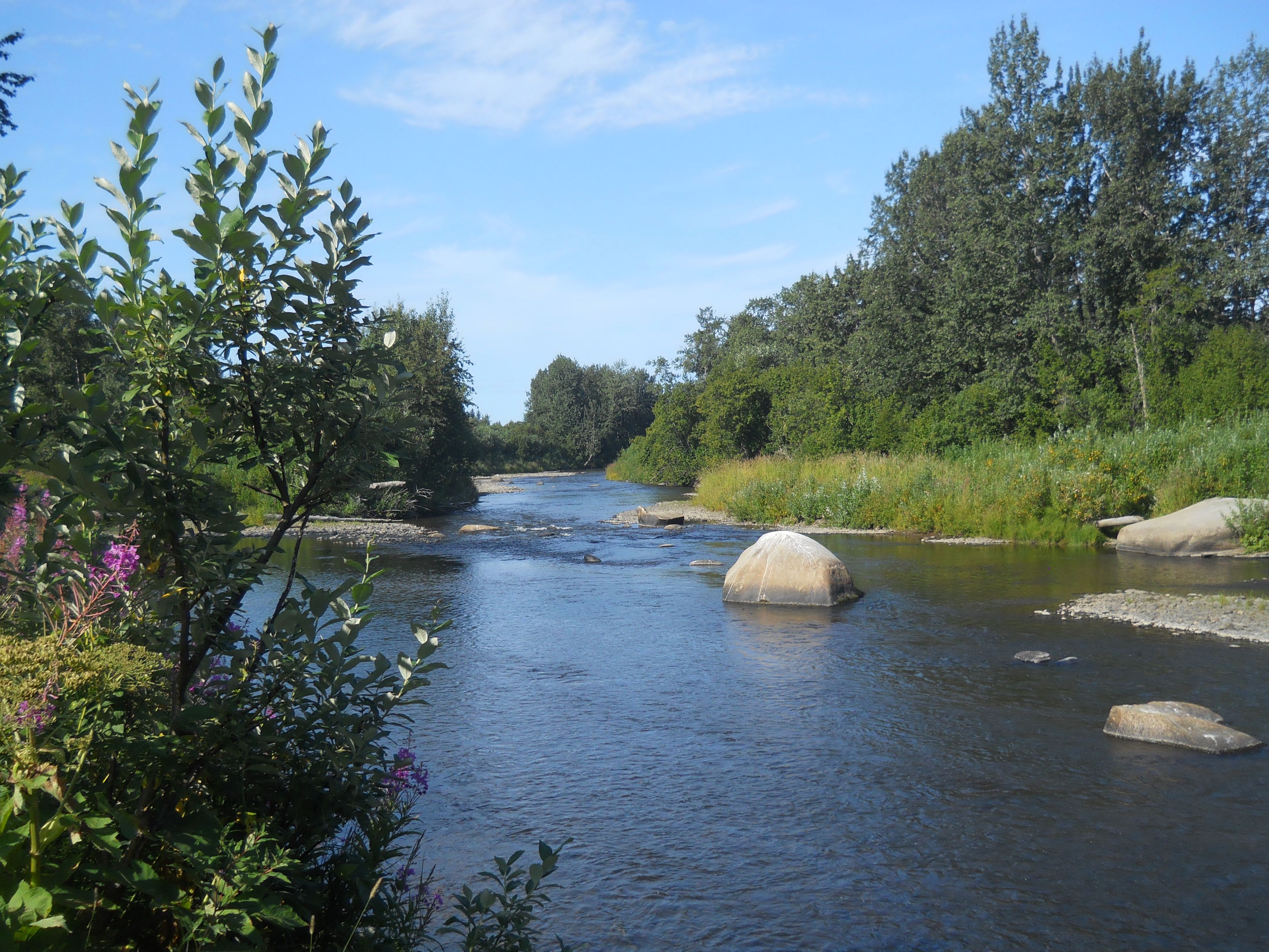 Anchor River