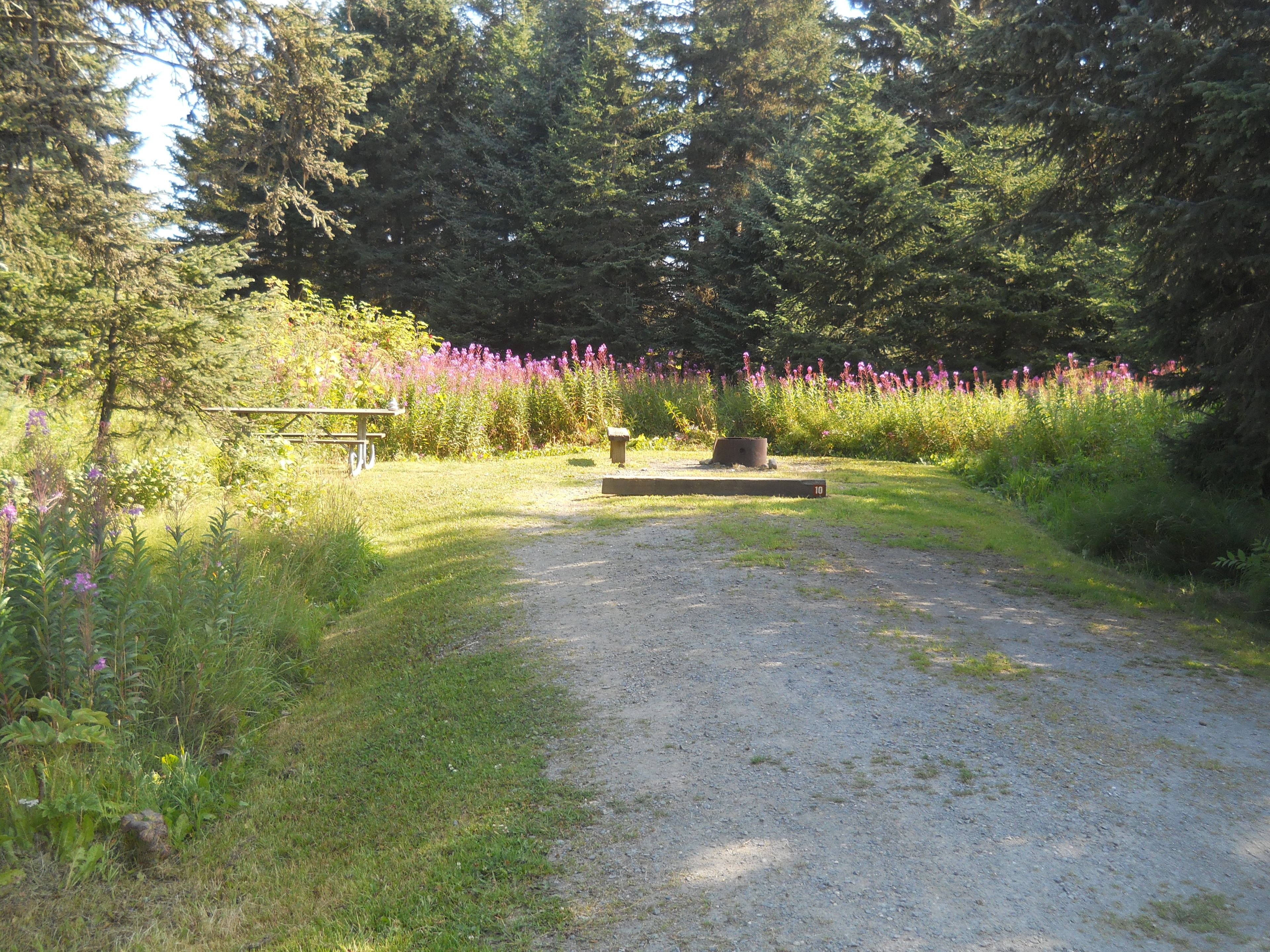 Campsite at Halibut Campground