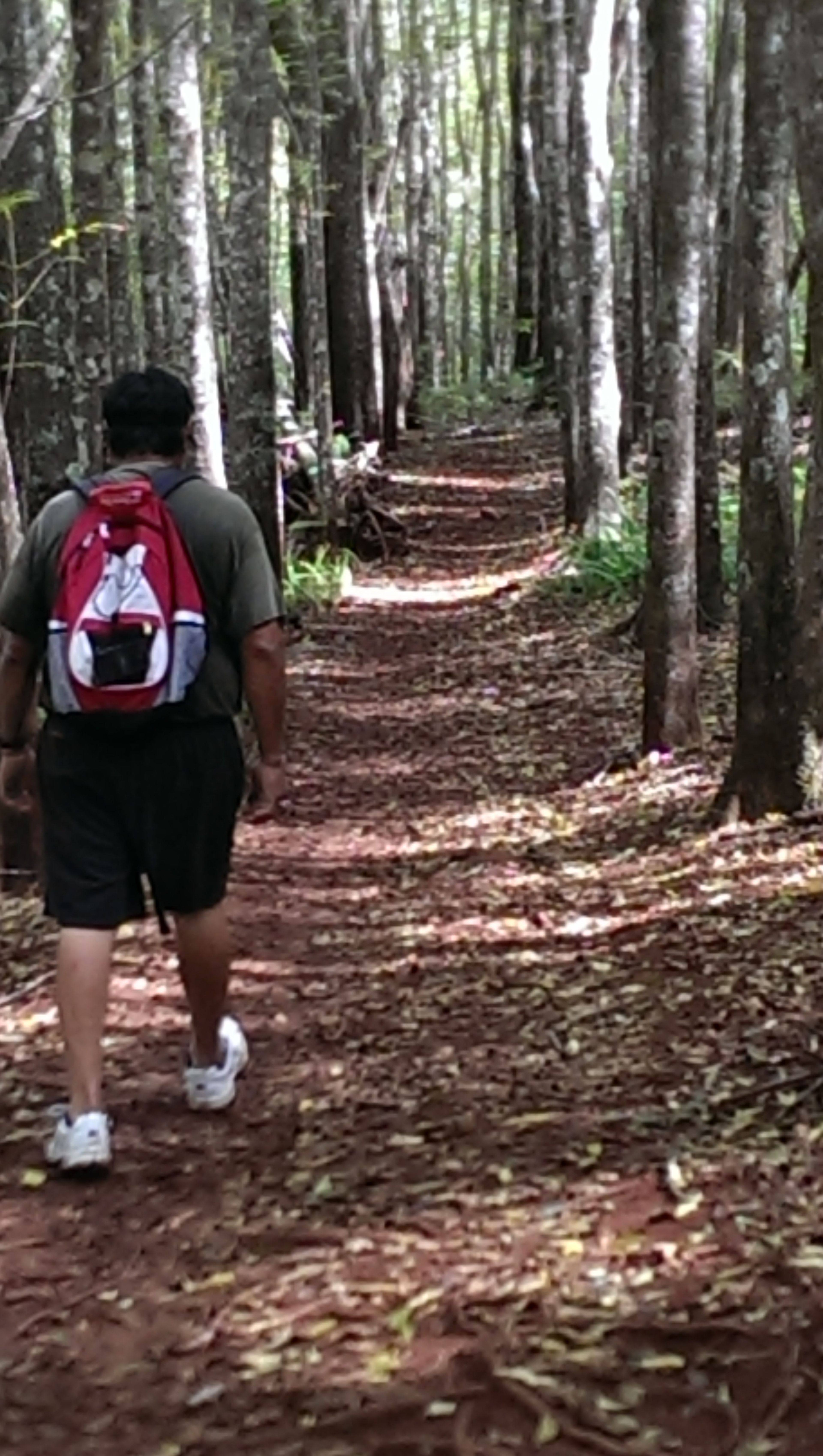 Kahakapao Recreational Area.