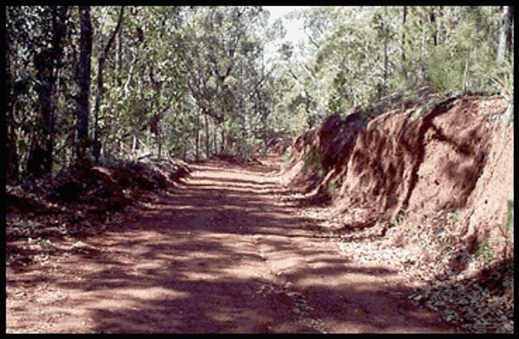 Kauhao Ridge Road