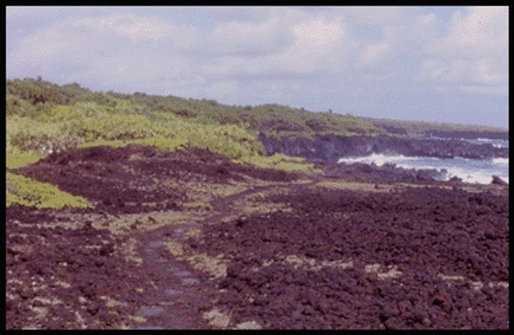 Open views at Ke Ala Loa O Maui / Piilani Trail