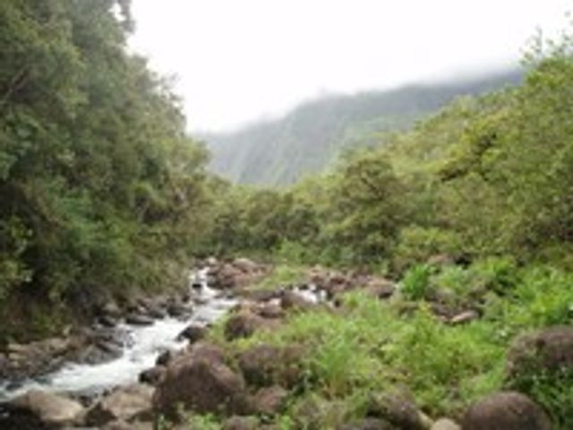 lihue4.jpg