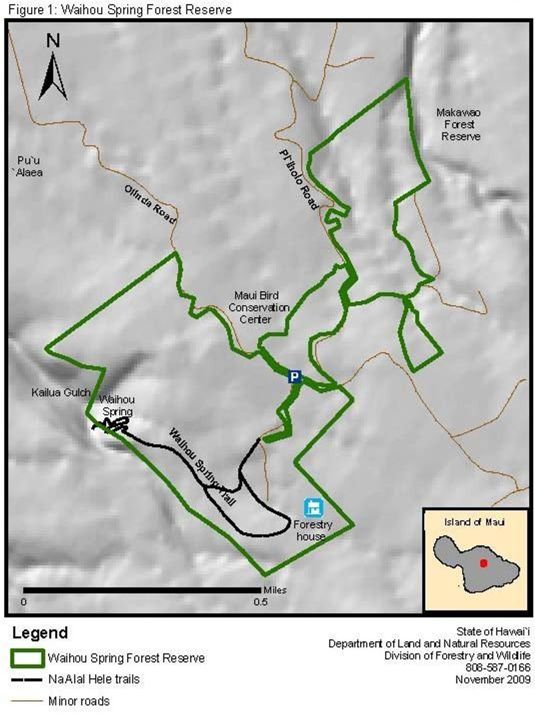 Waihou Spring Forest Reserve