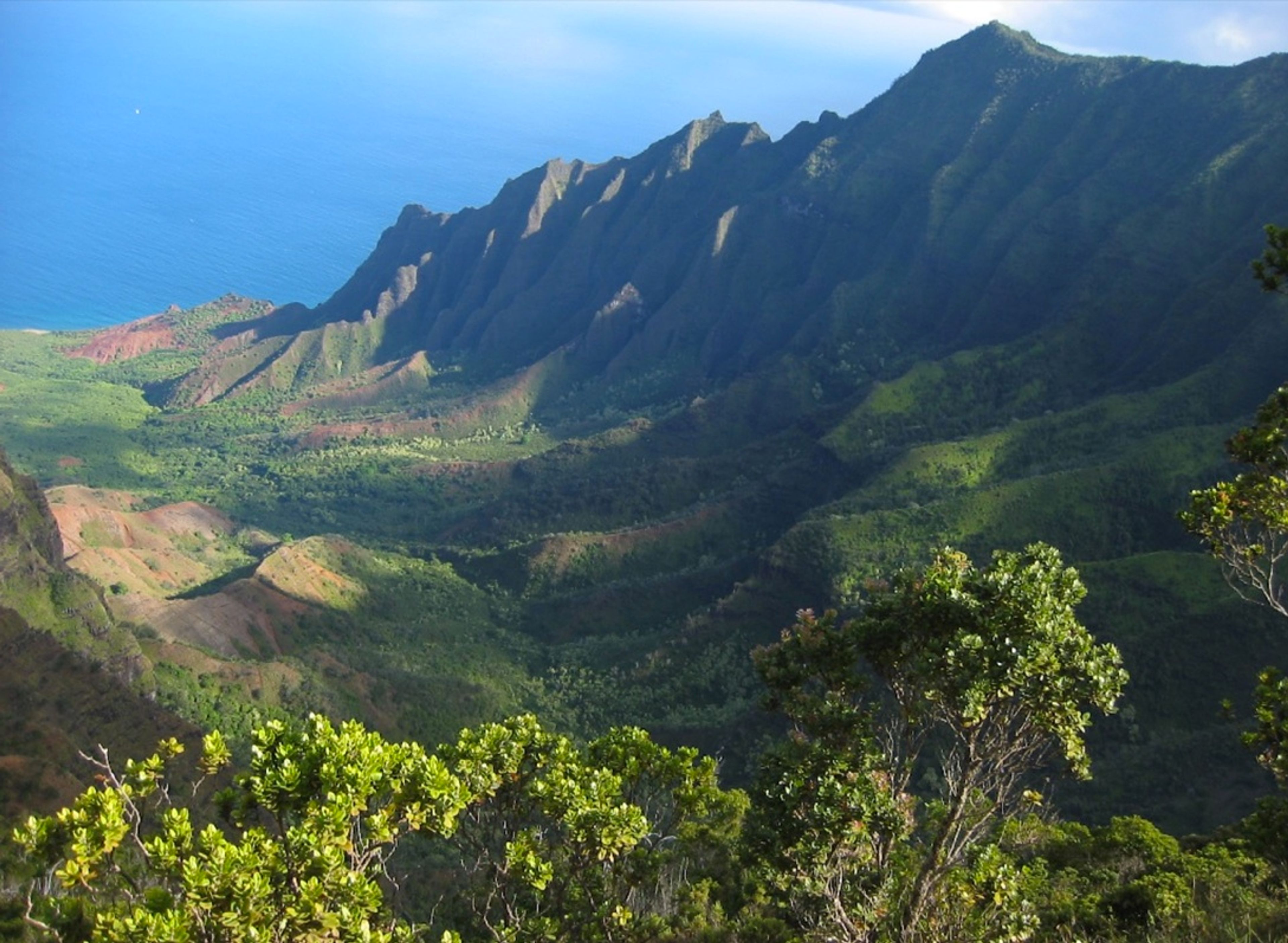 Kokee State Park Scenic View