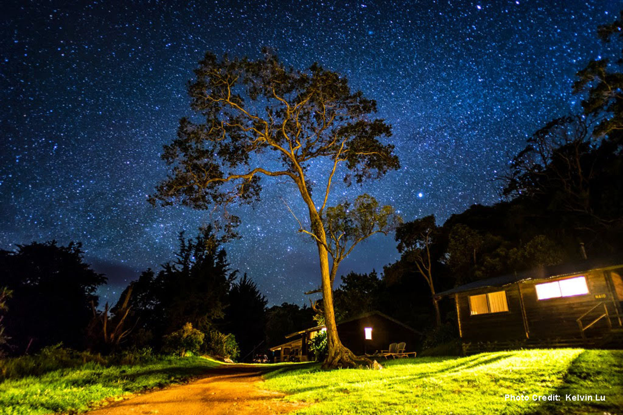 Kokee State Park at Night