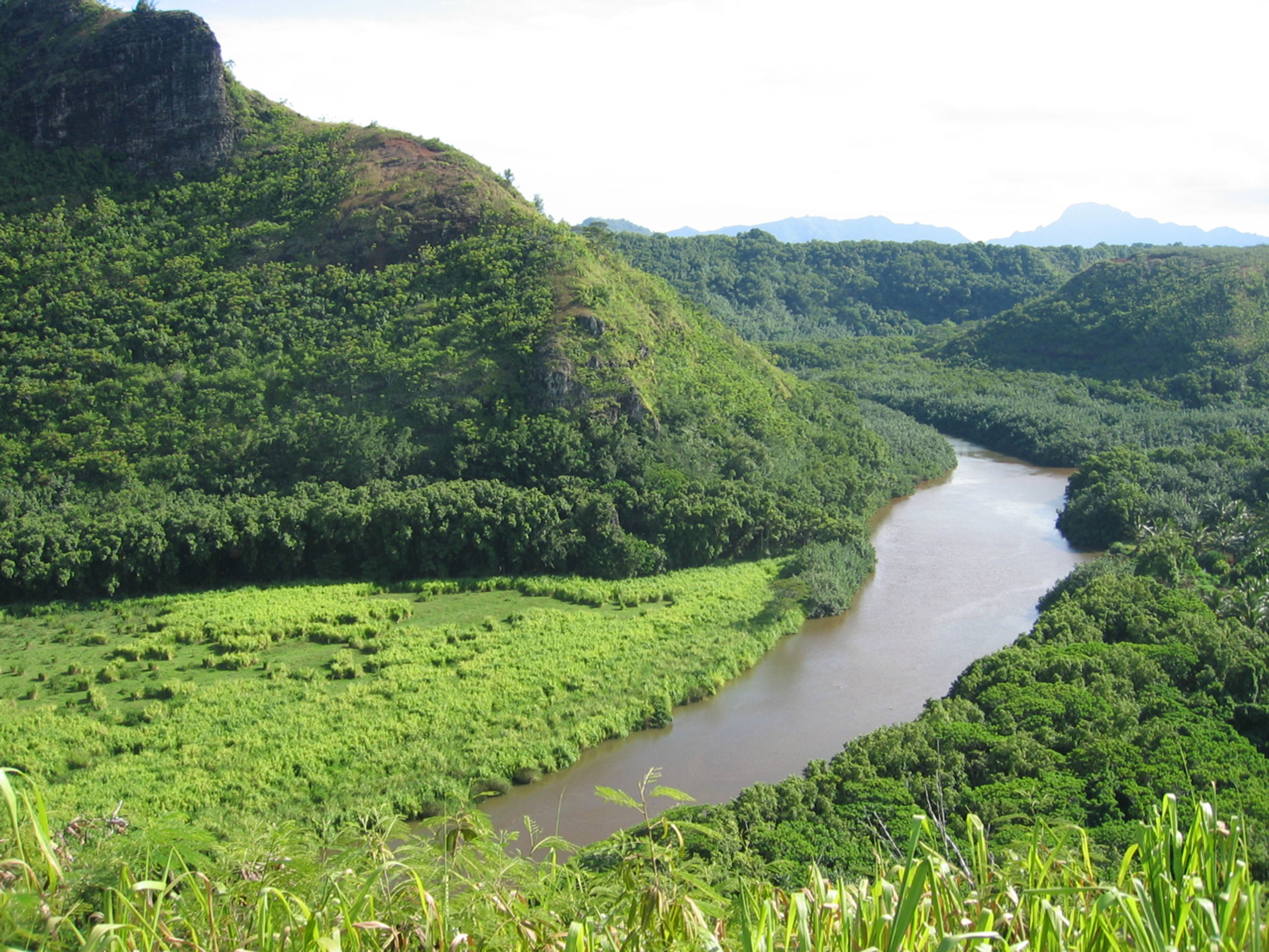 Wailua River State Park