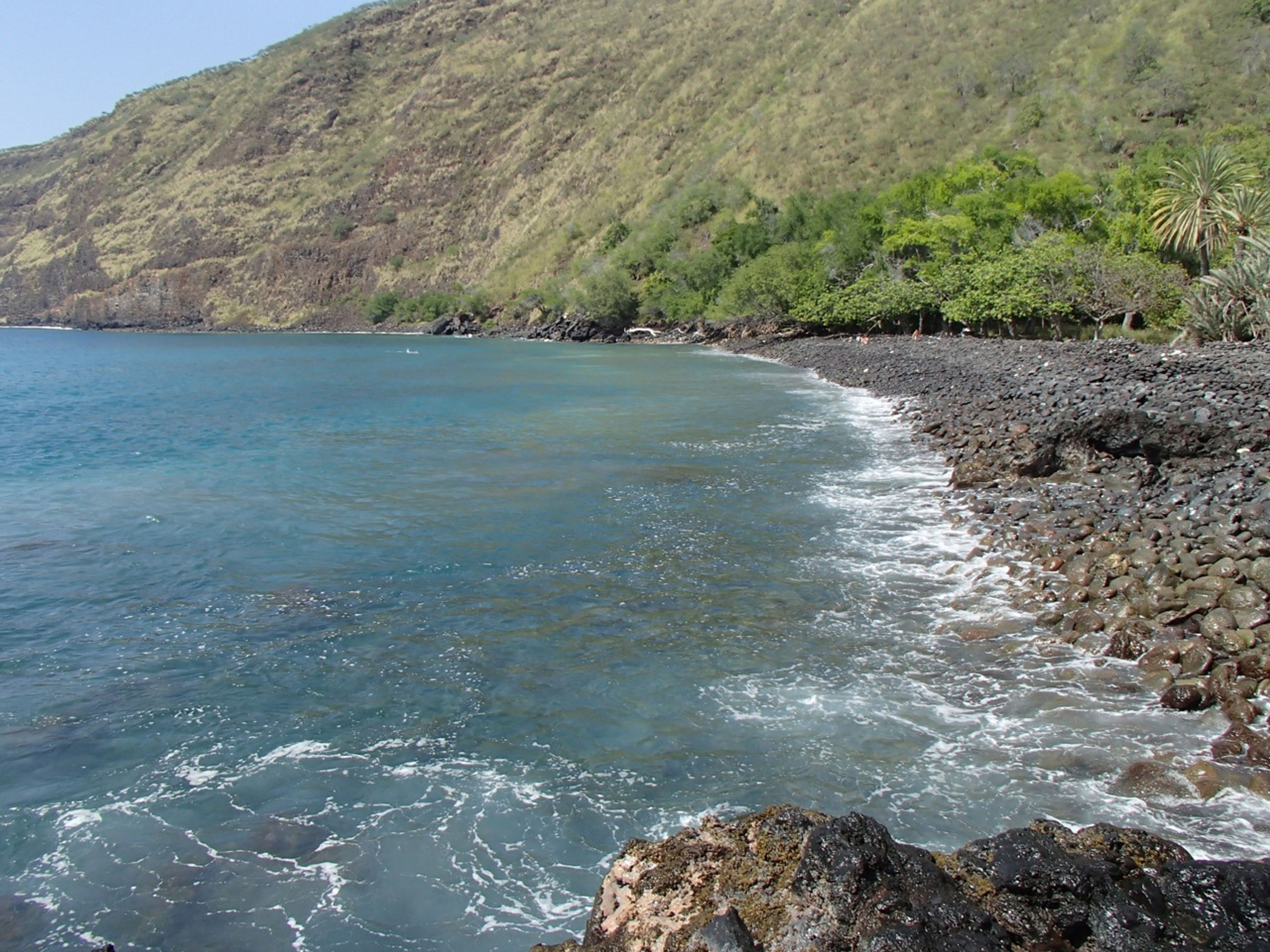 Kealakekua Bay State Historical Park