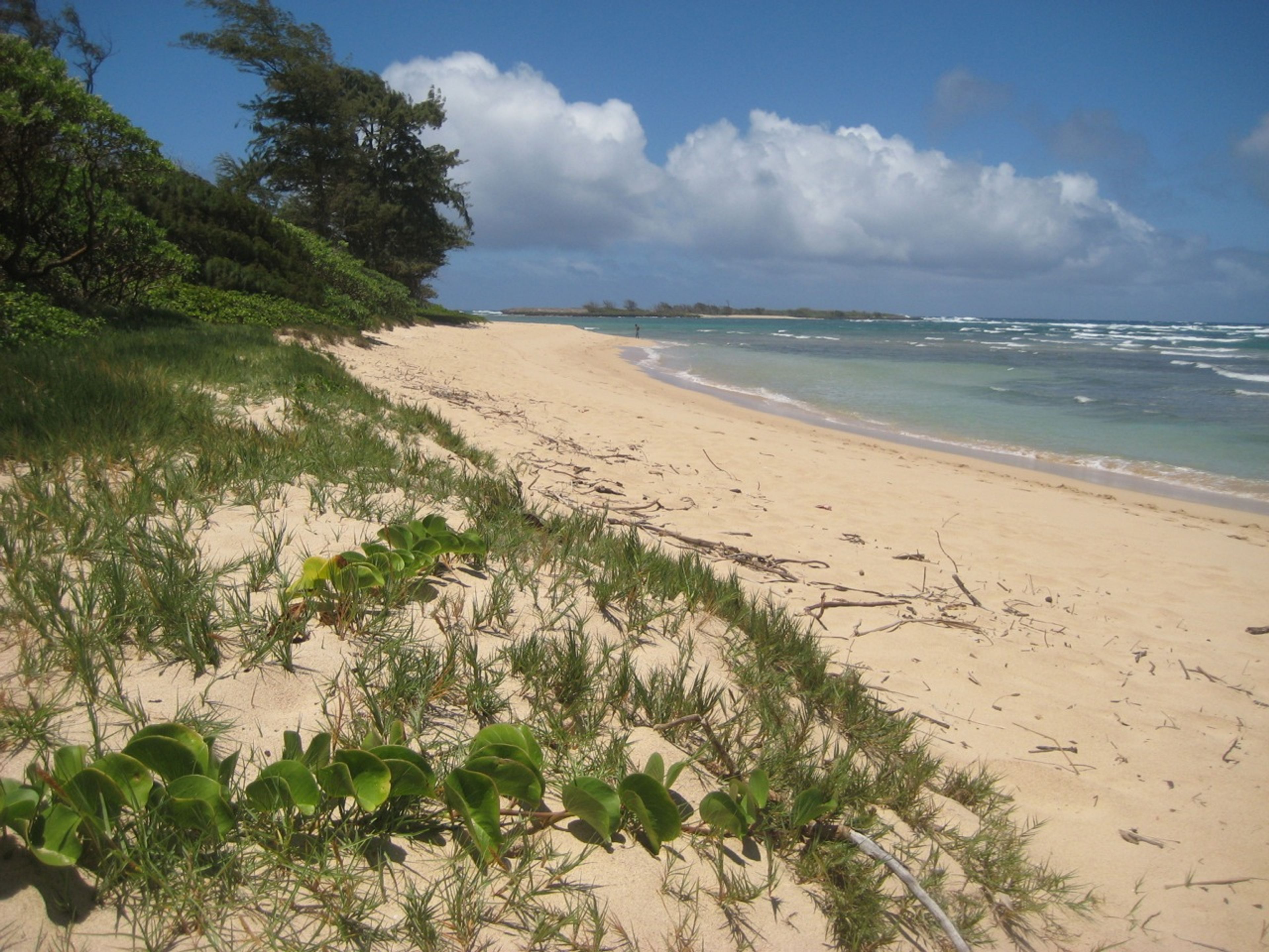 Malaekahana State Recreation Area