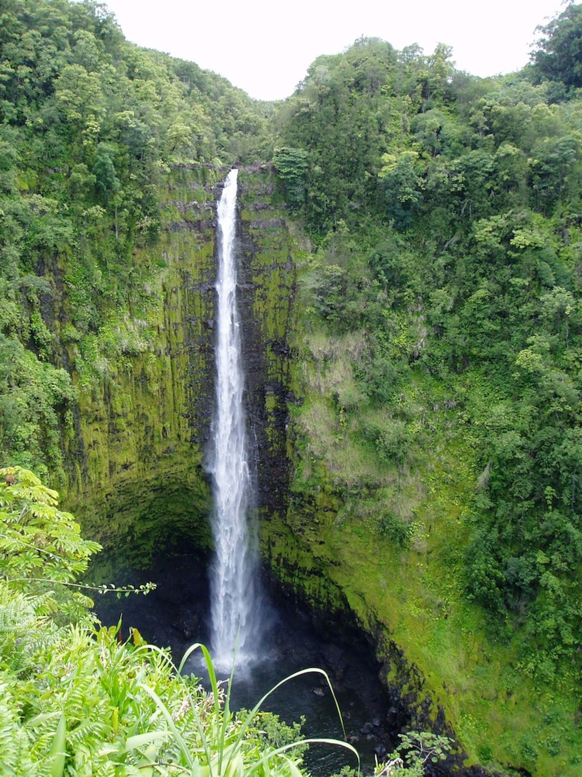 Akaka Falls State Park