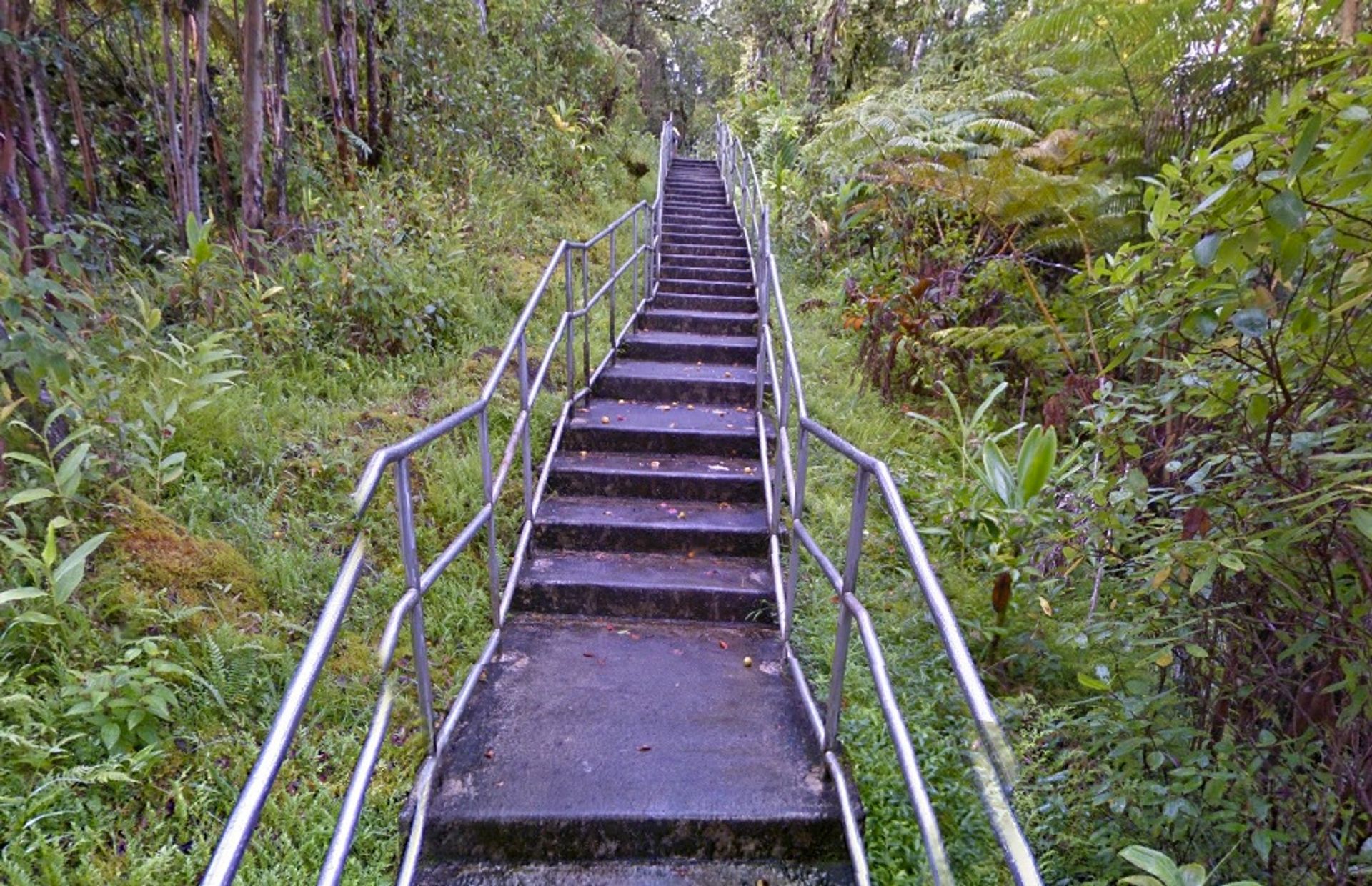 Akaka Falls State Park