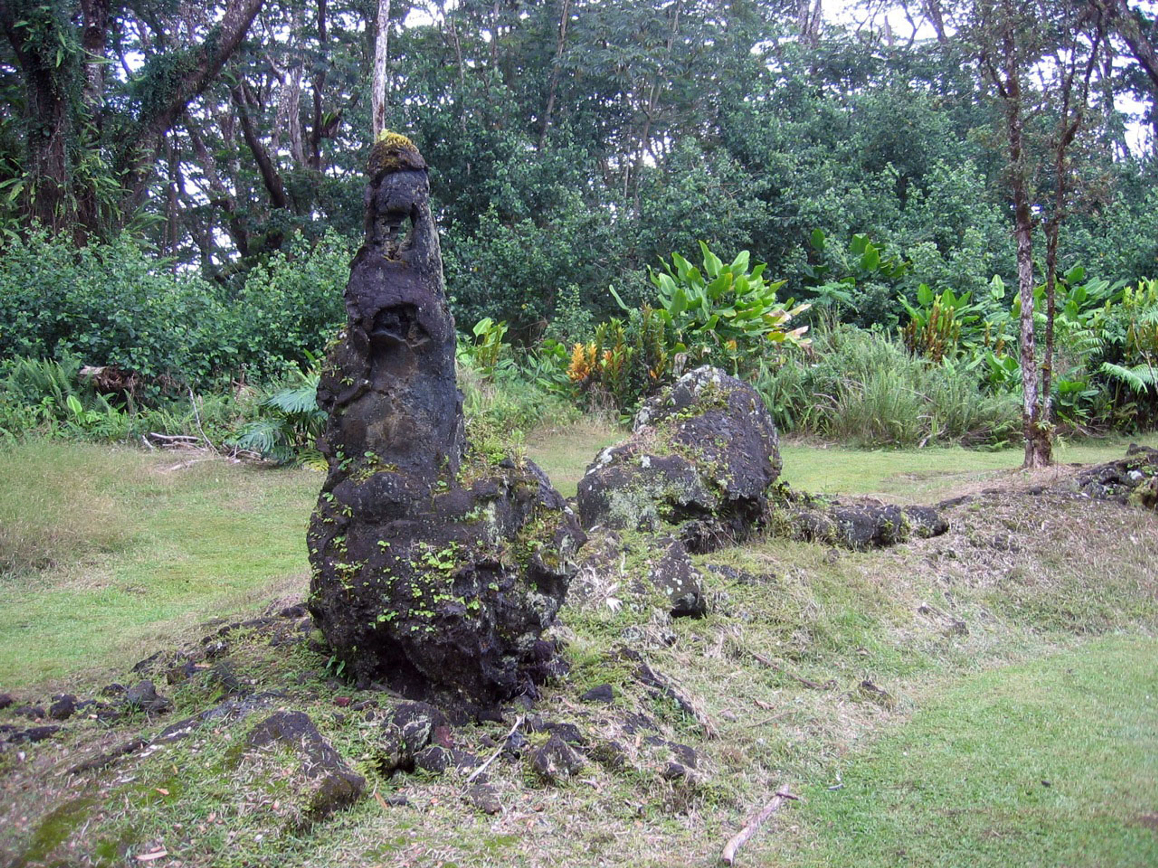 Lava Tree State Monument