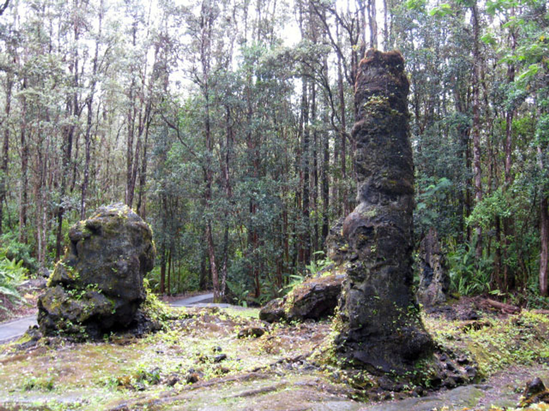 Lava Tree State Monument