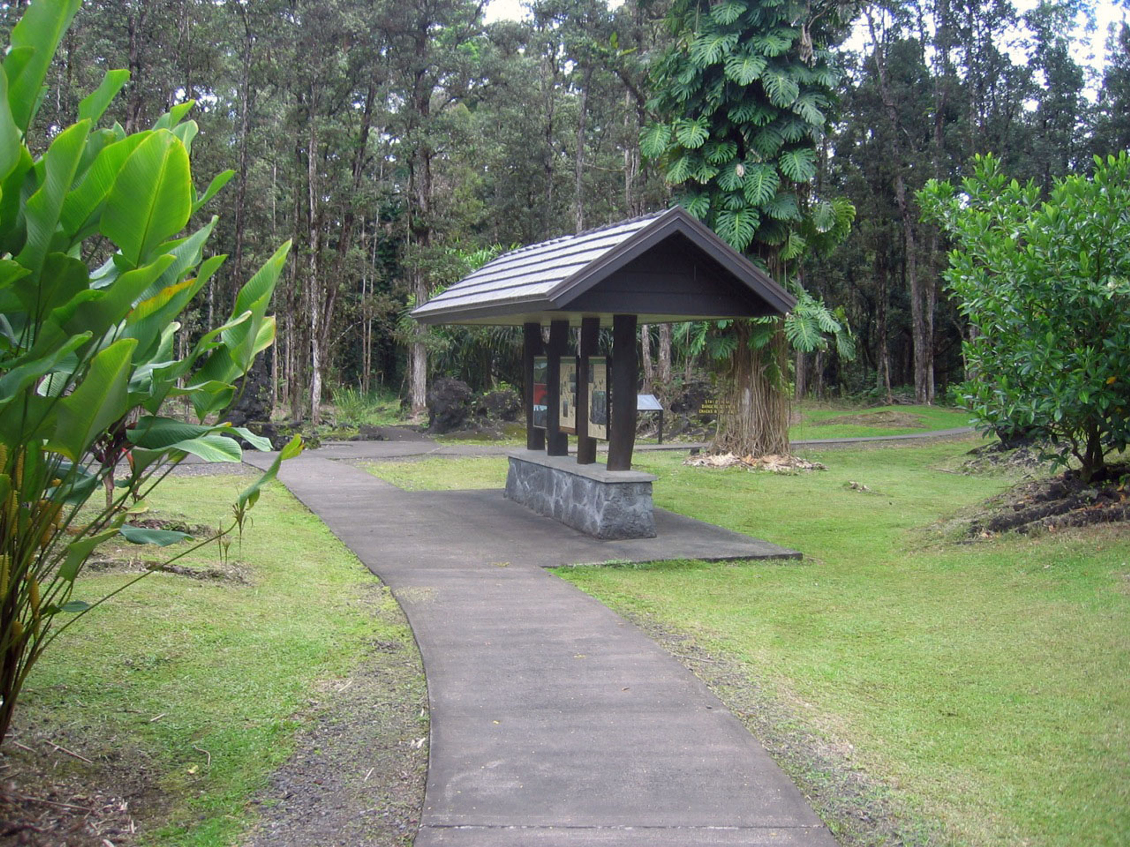 Lava Tree State Monument