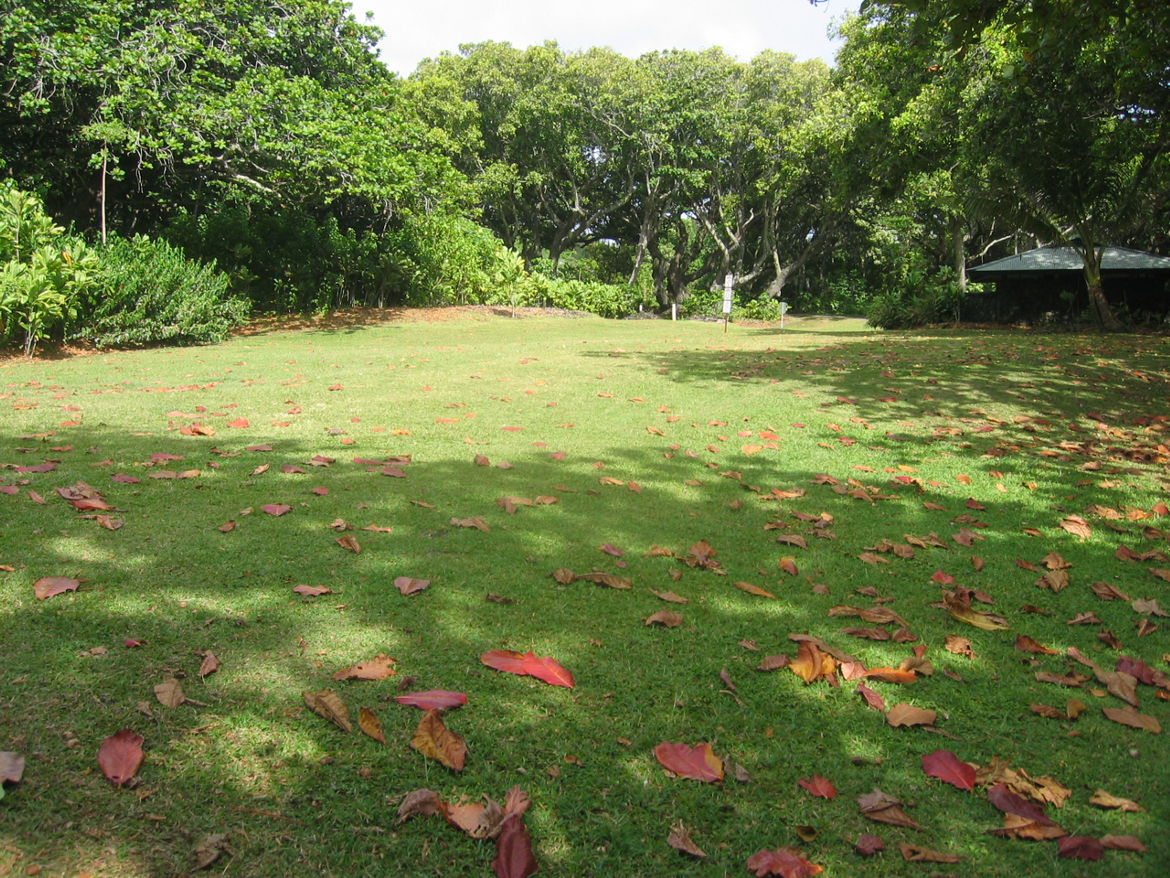 Waianapanapa State Park