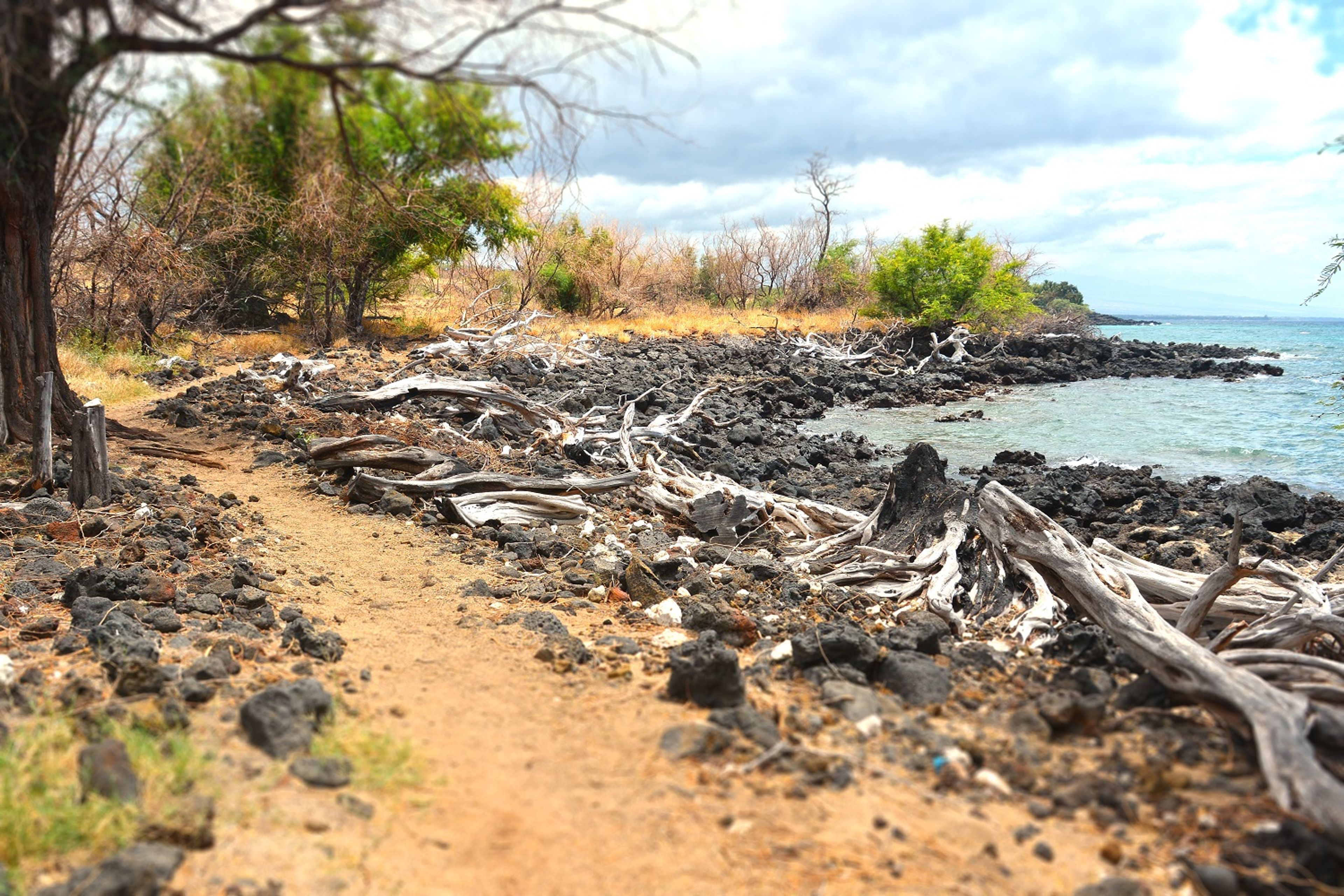 View of Mauʻumae Bay from trail