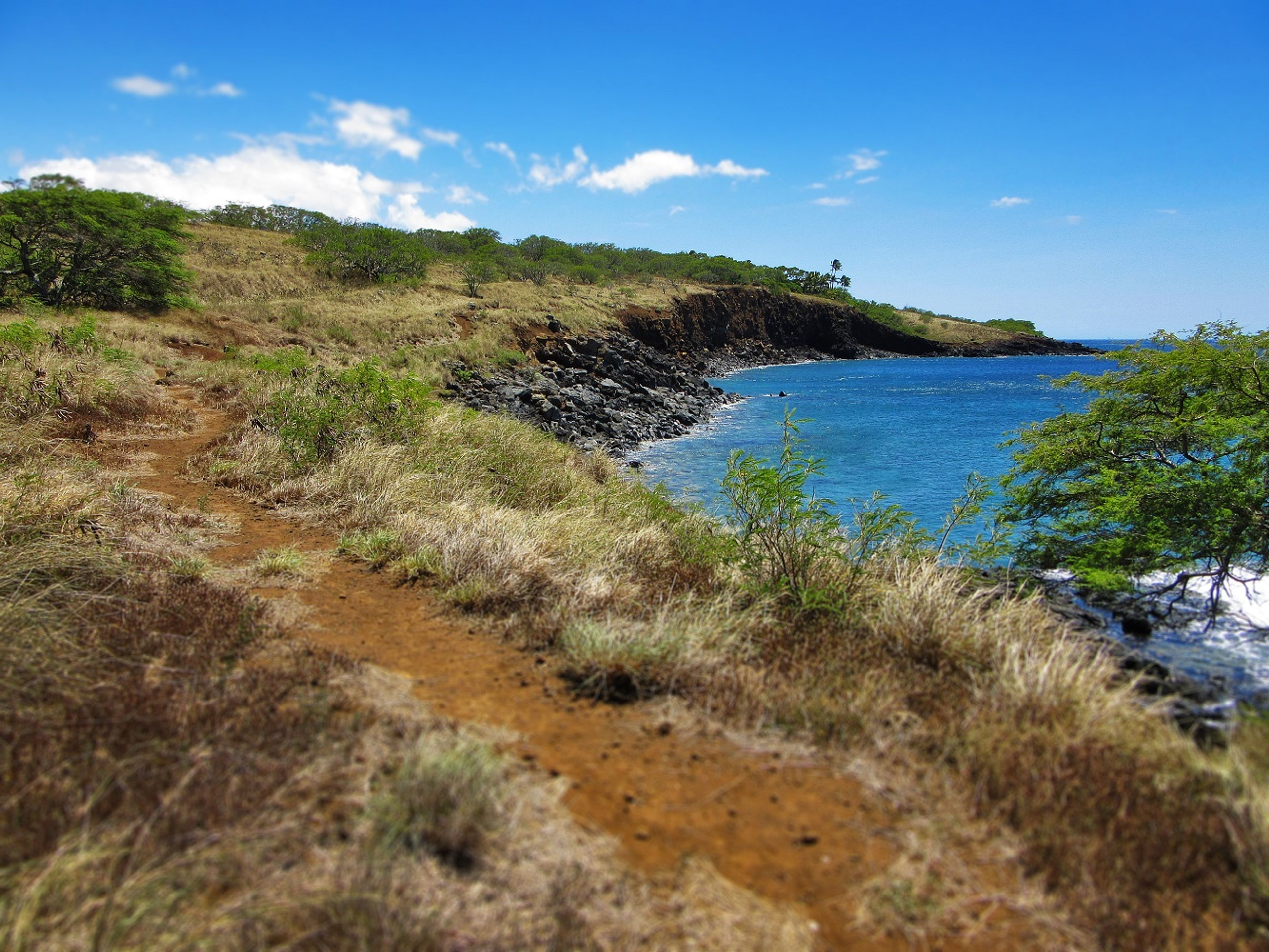 View of Puakea Bay from a portion of the Ala Kahakai in North Kohala