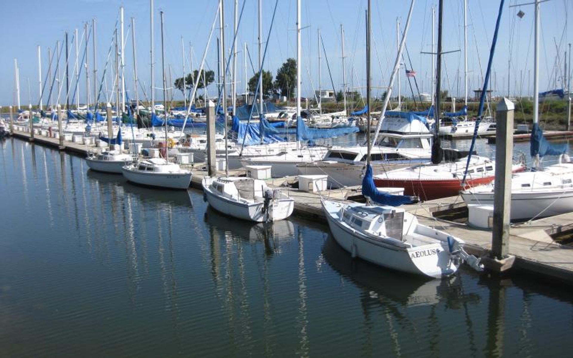 Coyote Point Marina