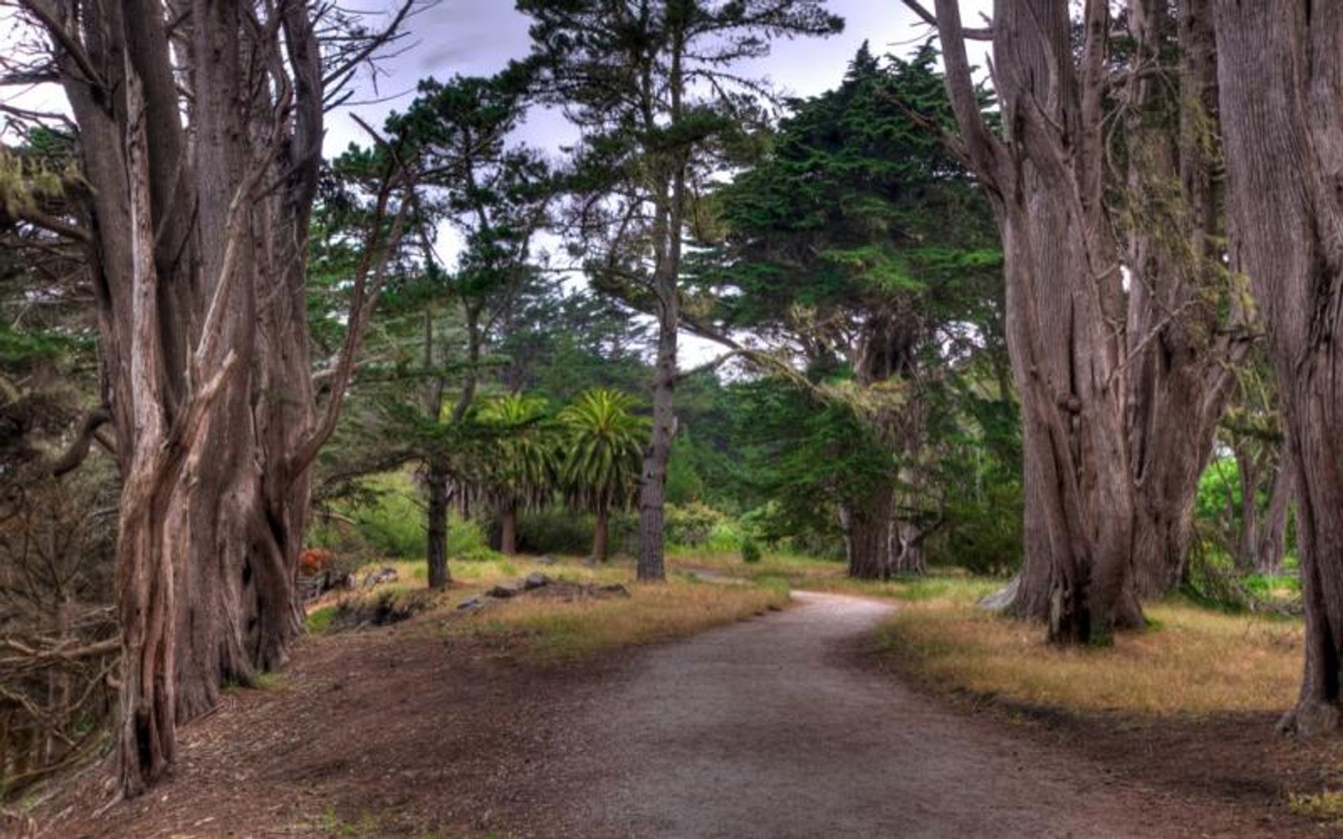Bluff Trail