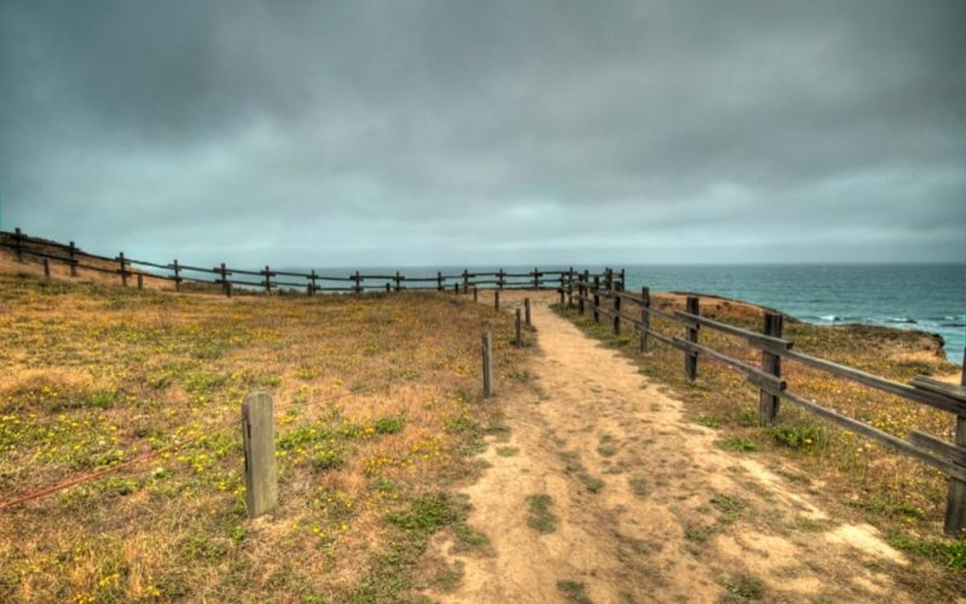 Great Place for Whale Watching on the Bluff Trail