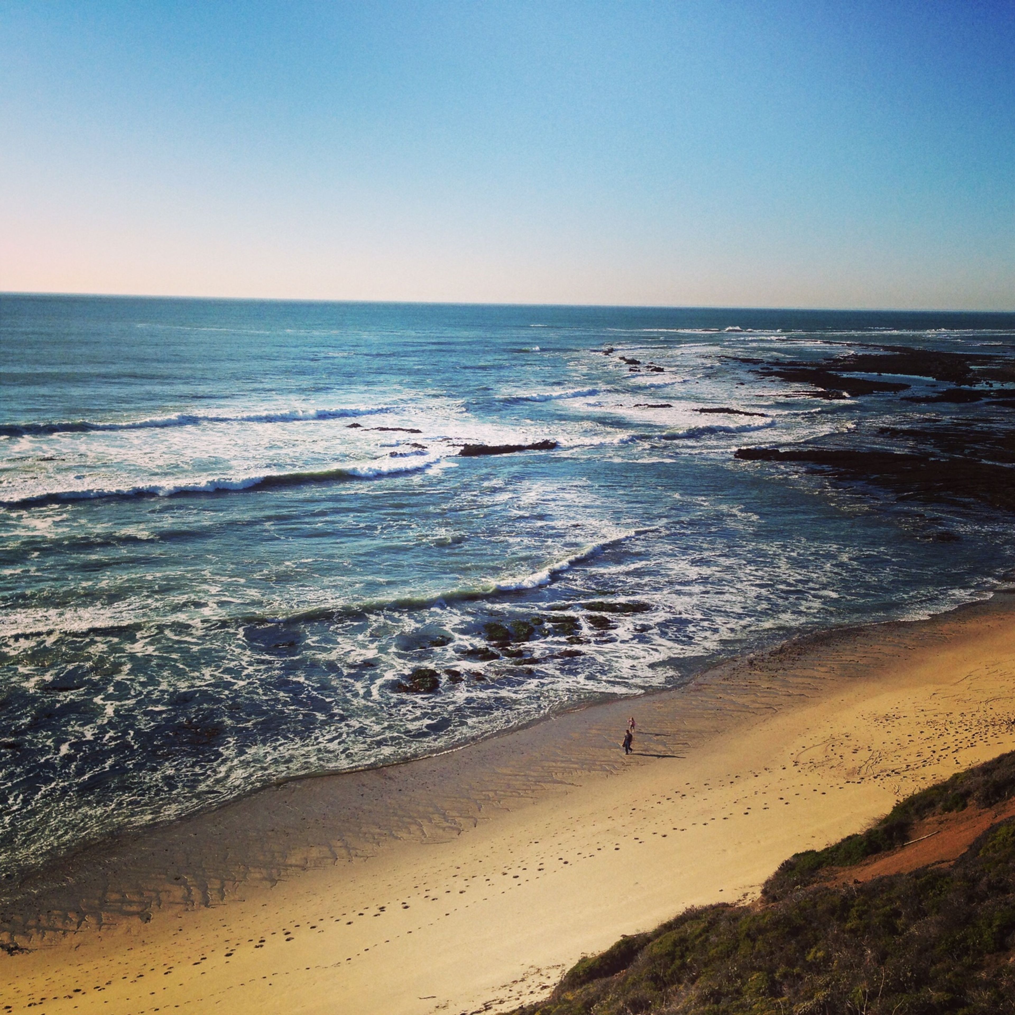 View of Seal Cove from the Bluff Trail