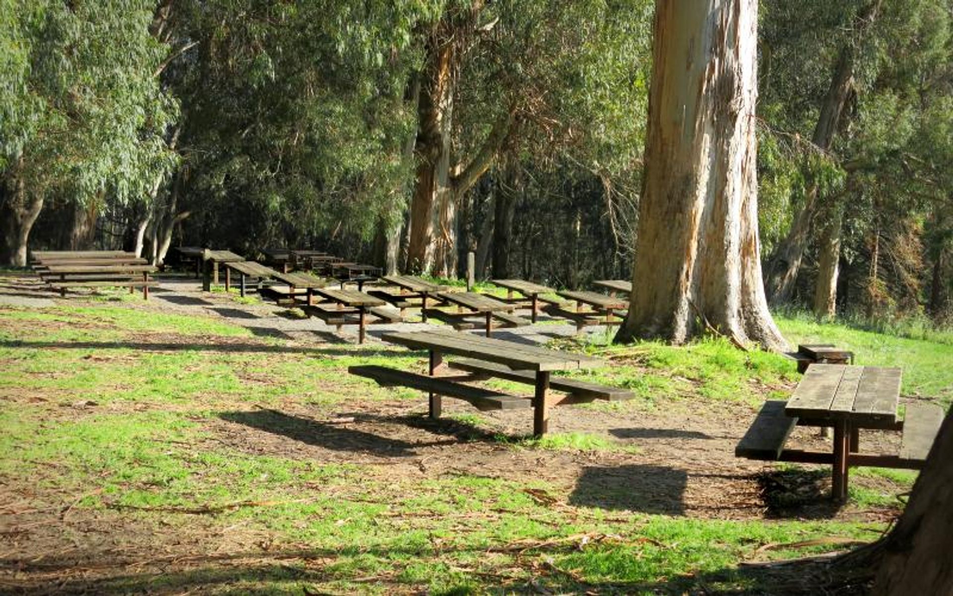 Meadow View Picnic Area