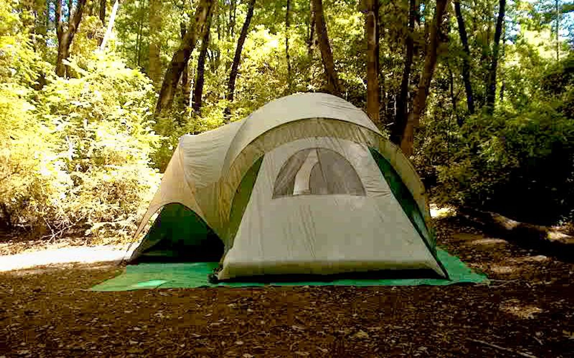 Memorial Park is a well-known and loved campground for the surrounding Bay Area.