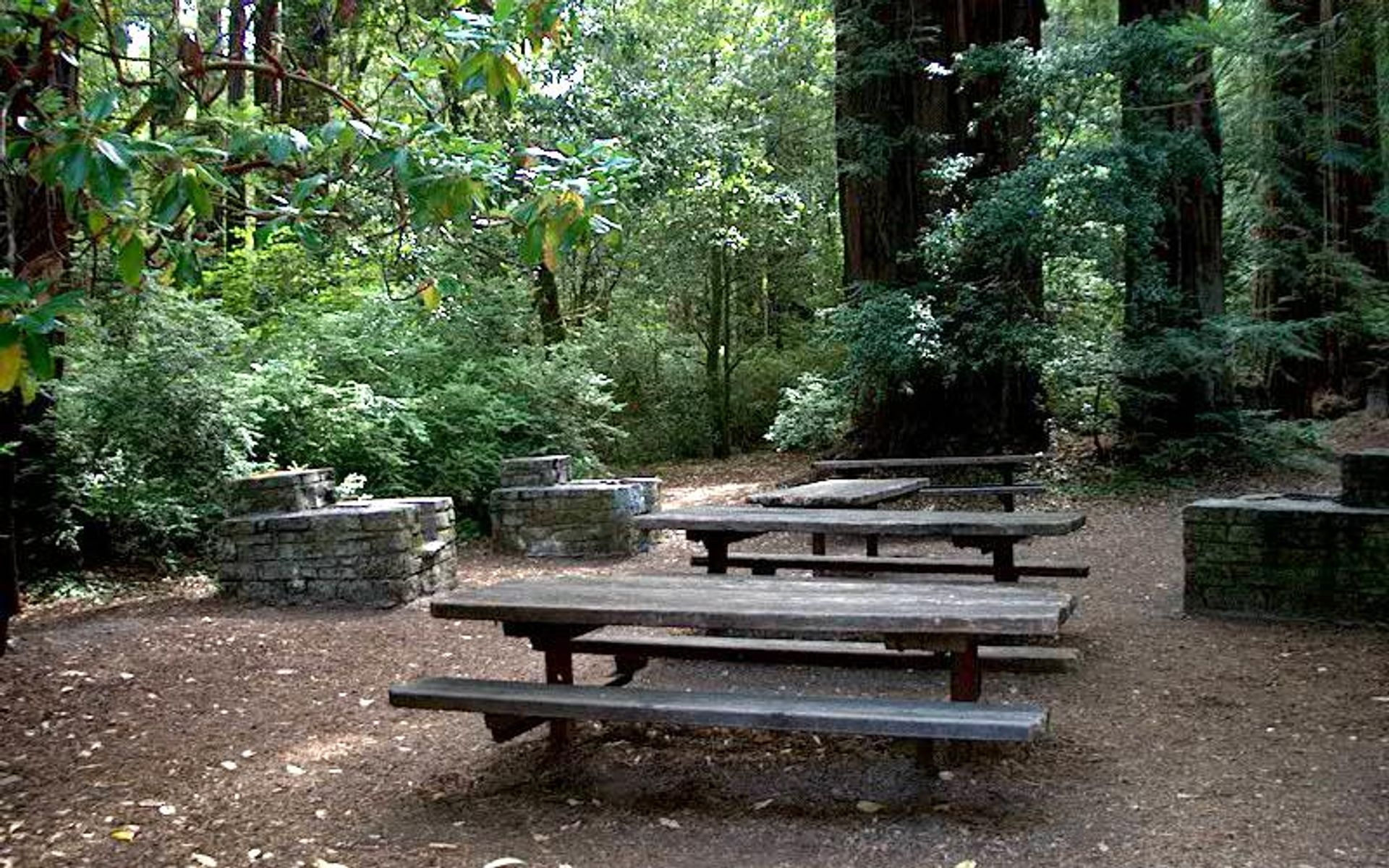 Picnic and Camping Sites throughout the park.