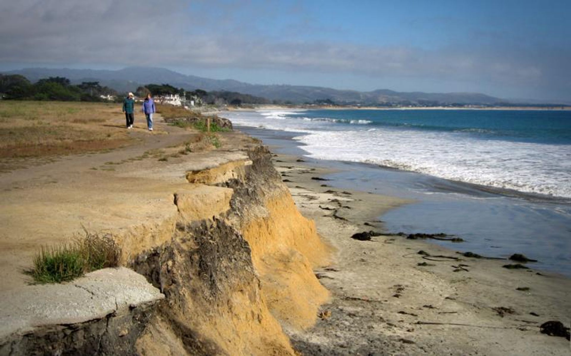 Coastal Bluffs right above "Surfer's Beach"