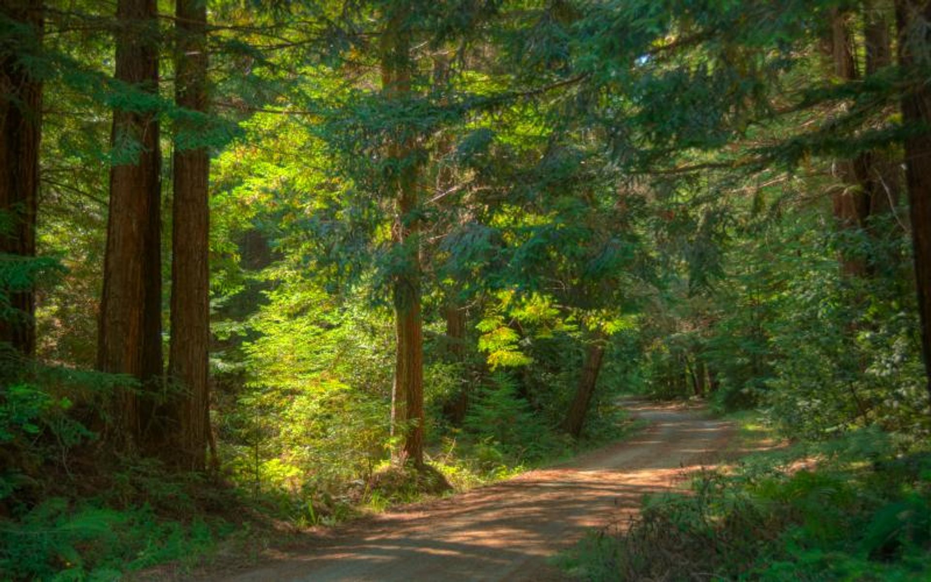 Old Haul Road is open for access by bicycles, equestrians, and hikers.