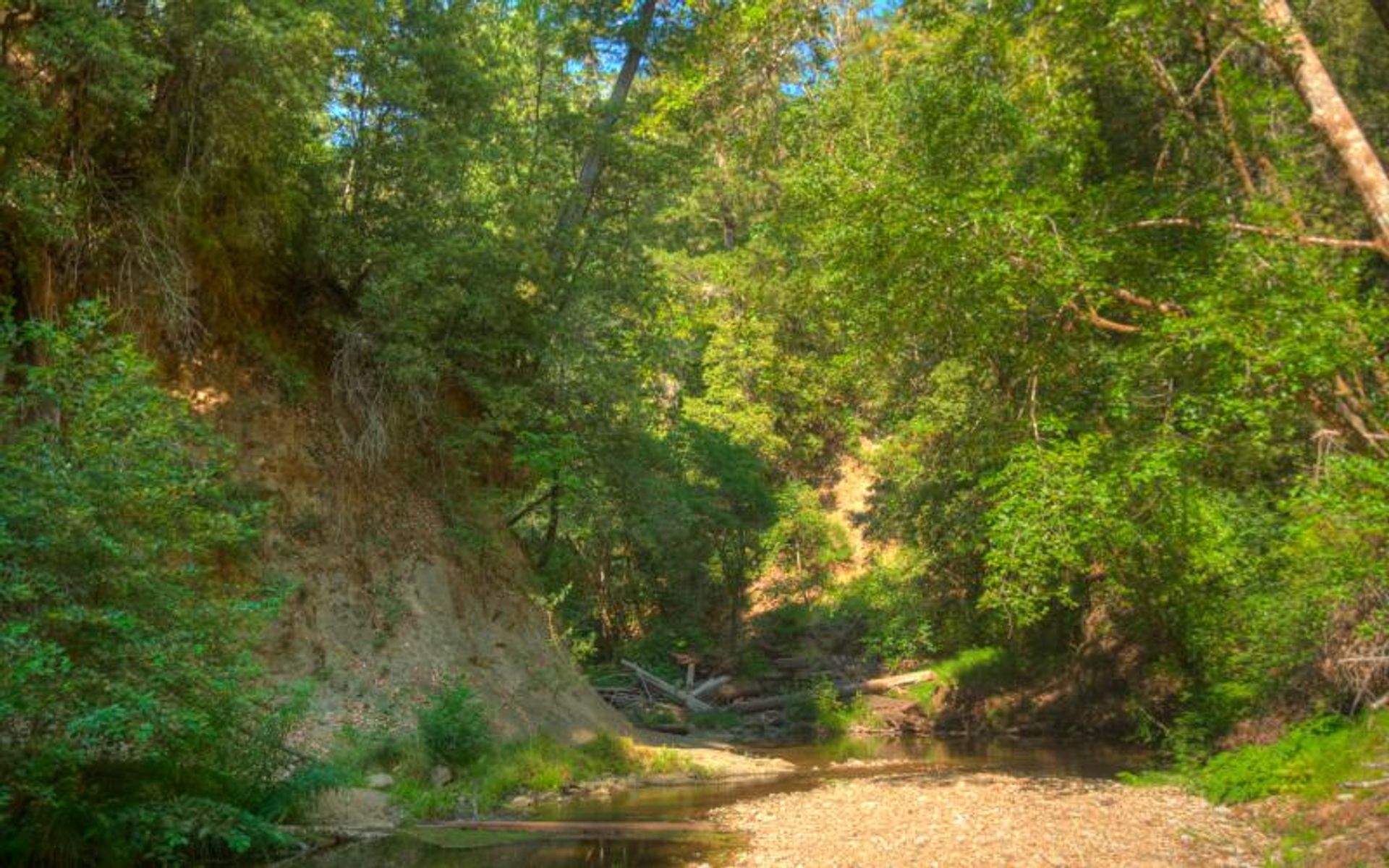 Shaw Flat Trail crosses Pescadero Creek