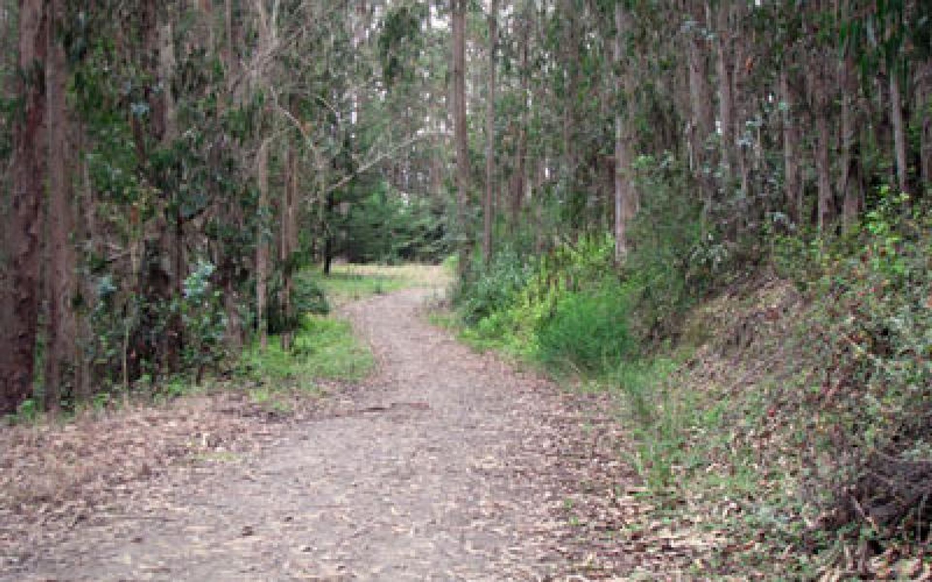 Quarry Trail