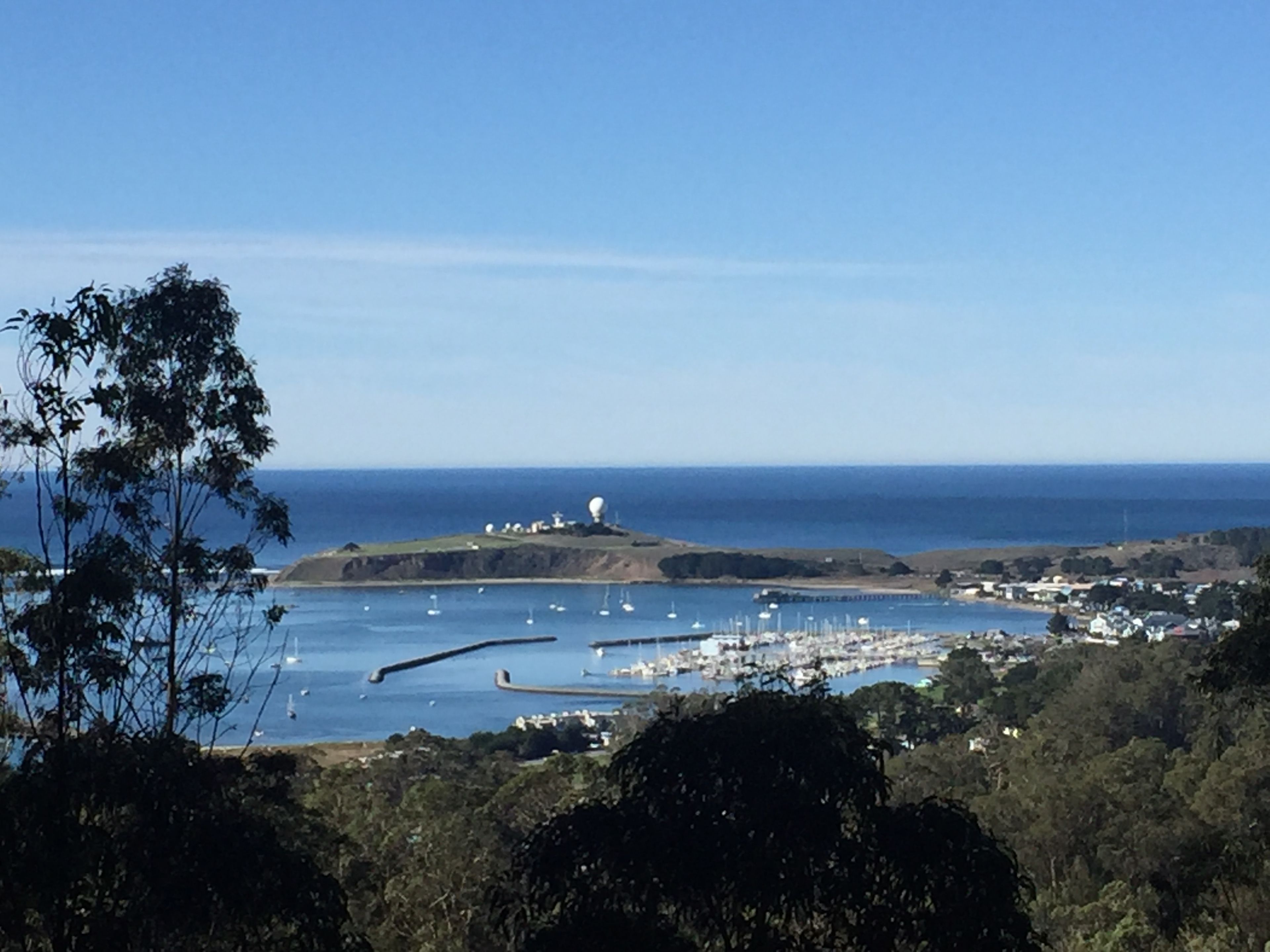 View of Princeton and Pillar Point Harbor from the Vista Point Trail